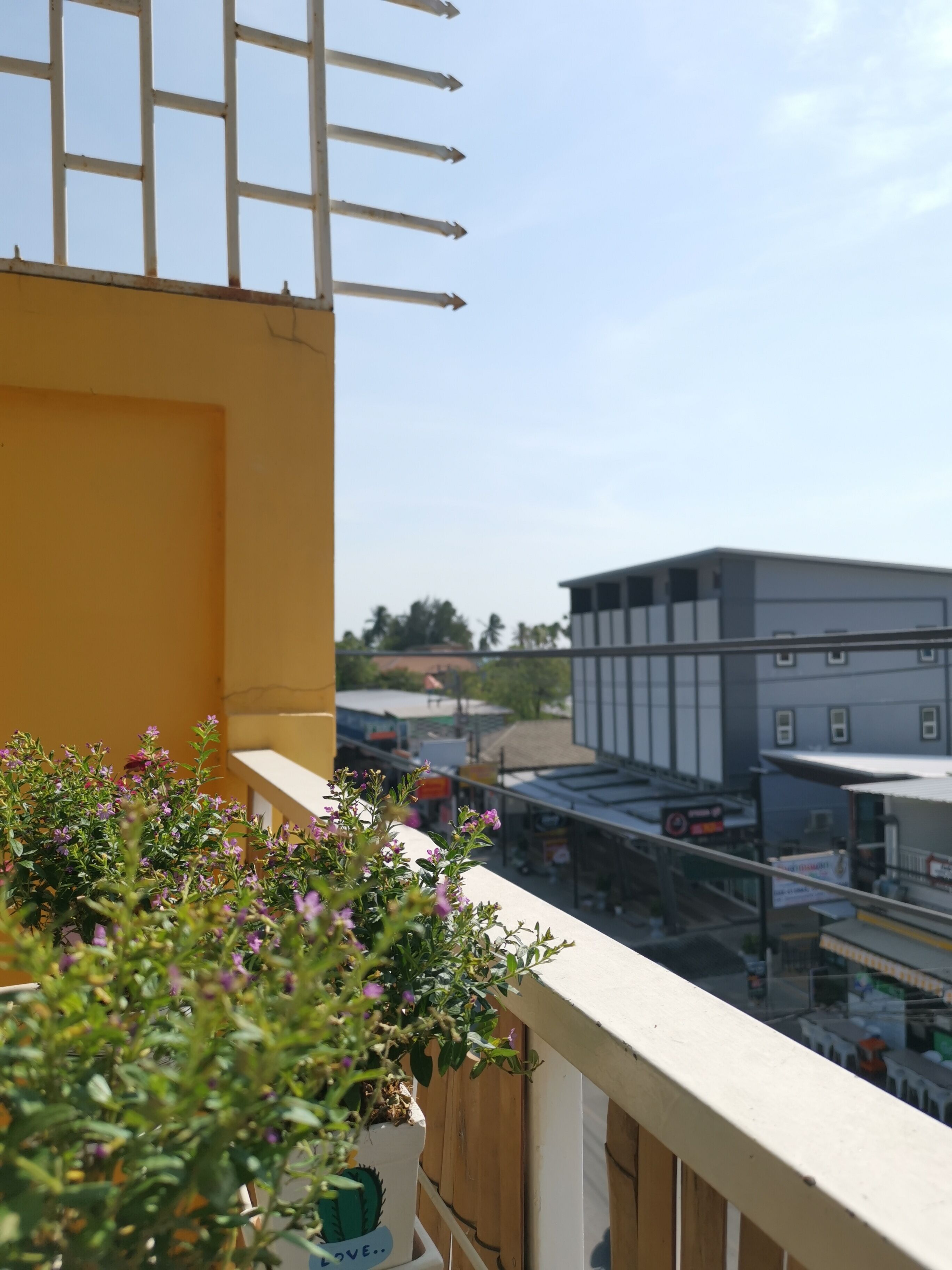 Lemon House 51
