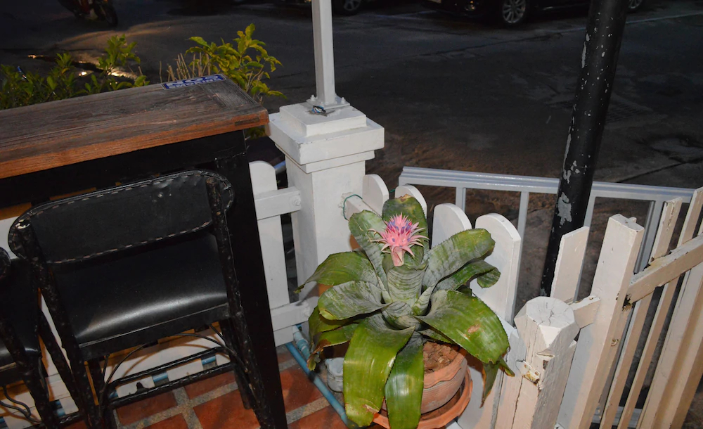 Tongmee Guest House