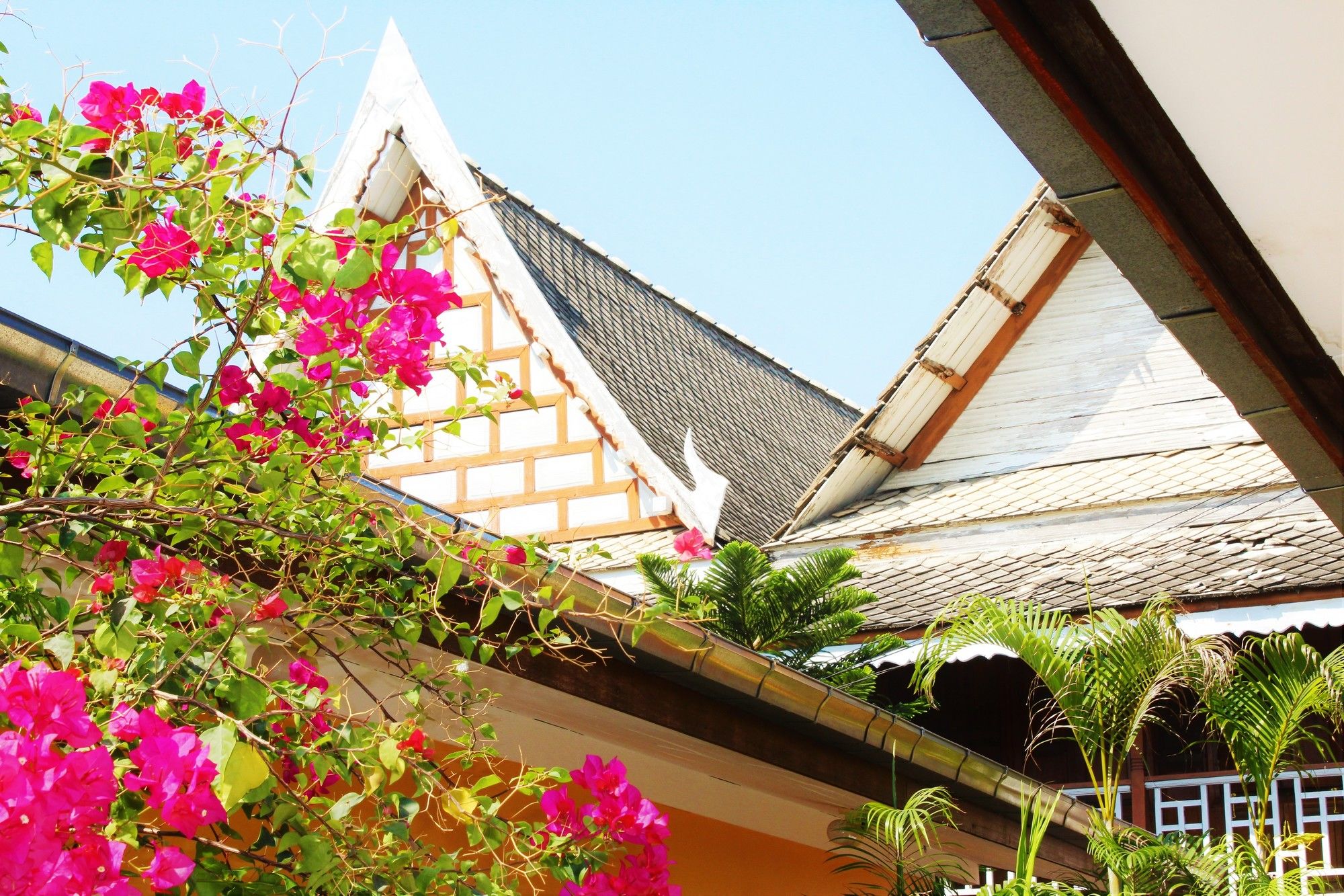 Victor Guesthouse