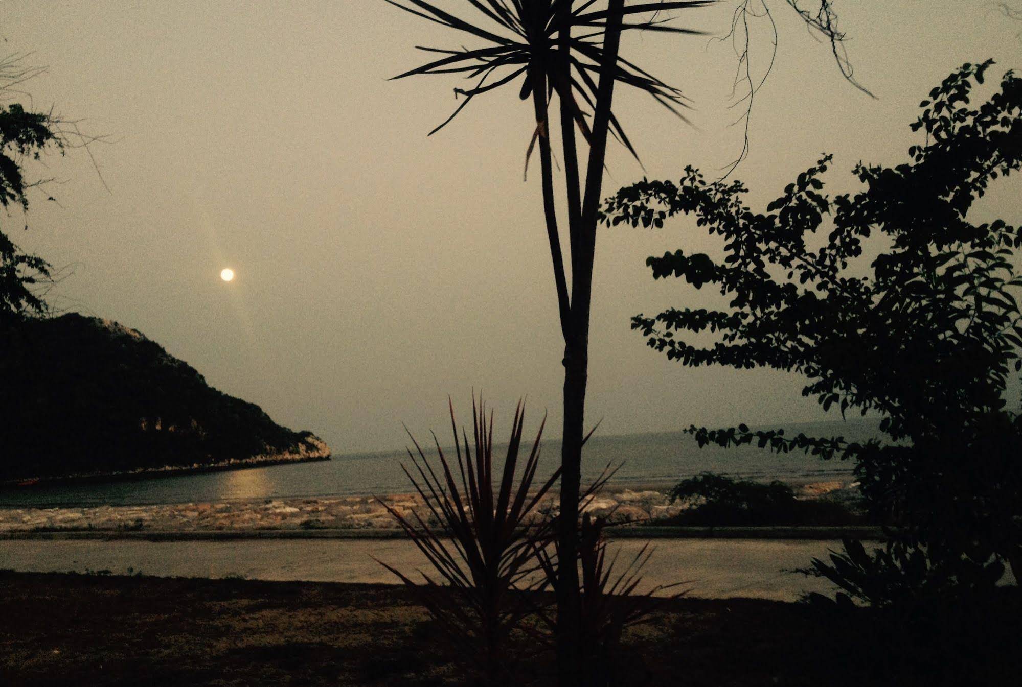 Eywa Beach Zone