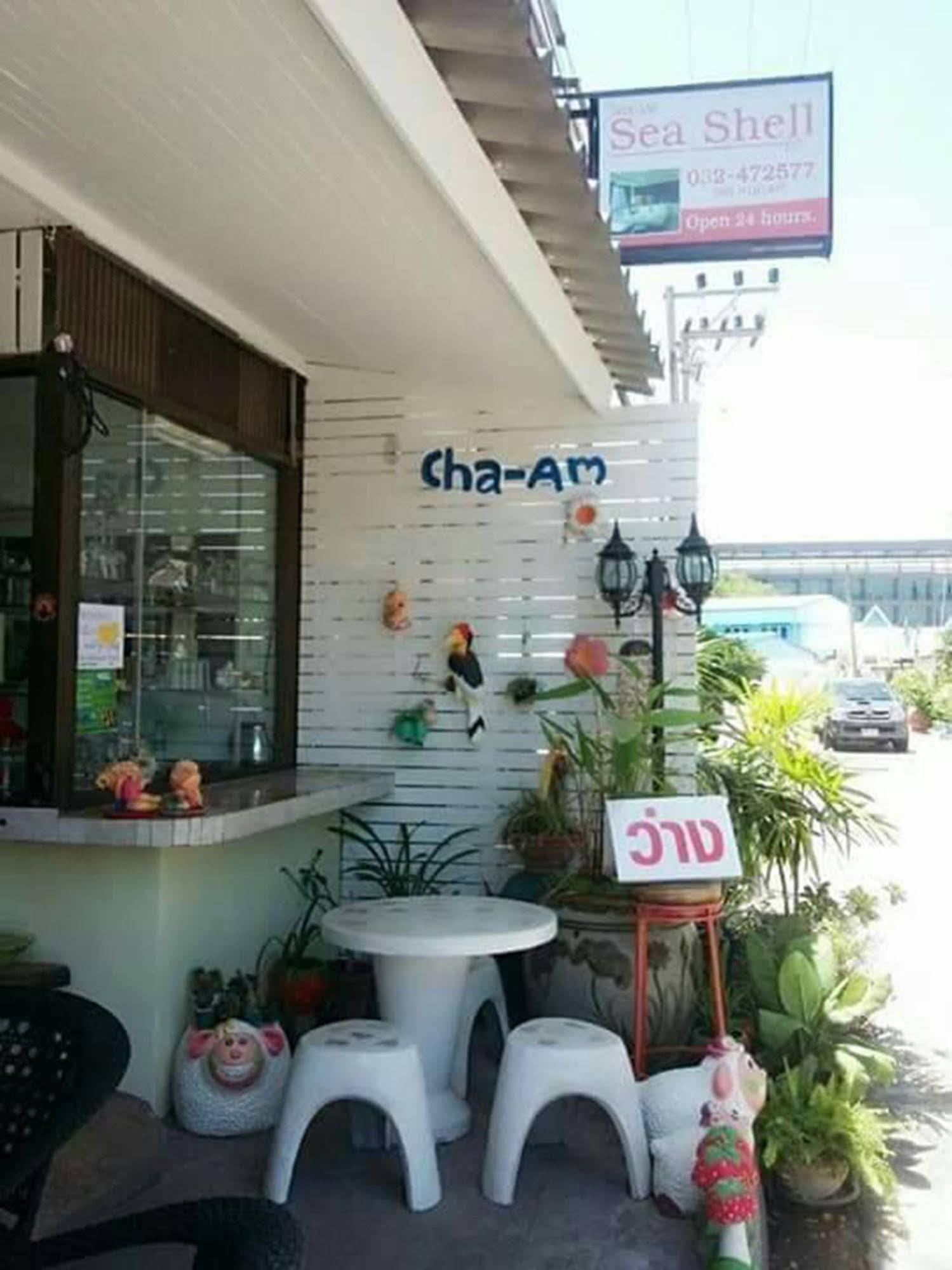 Cha Am Sea Shell