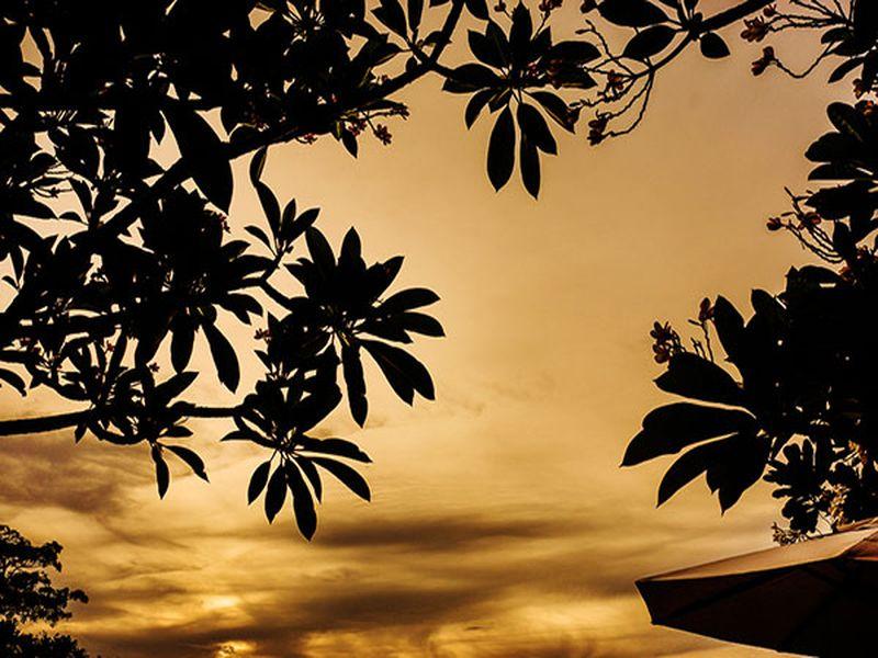 Chez Nous Boutique Resort