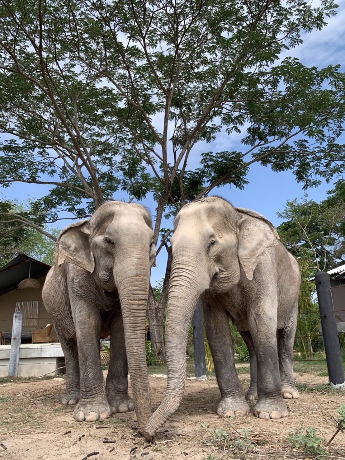 Elephant View Camp