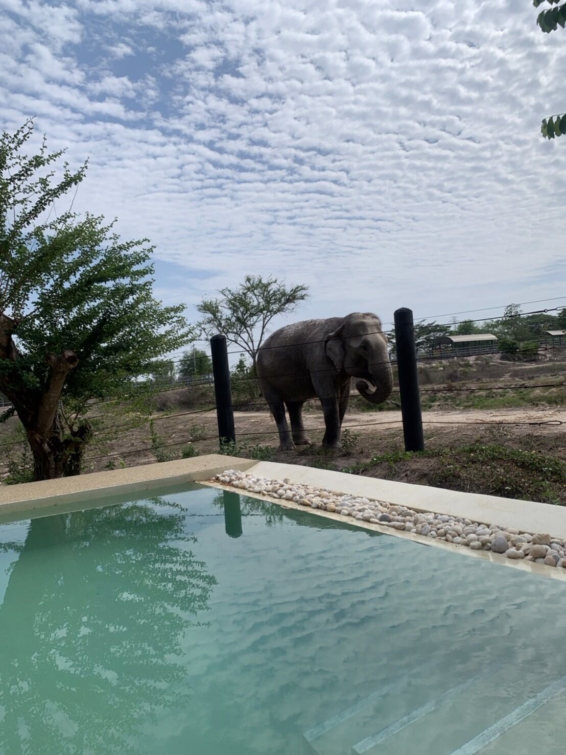 Elephant View Camp