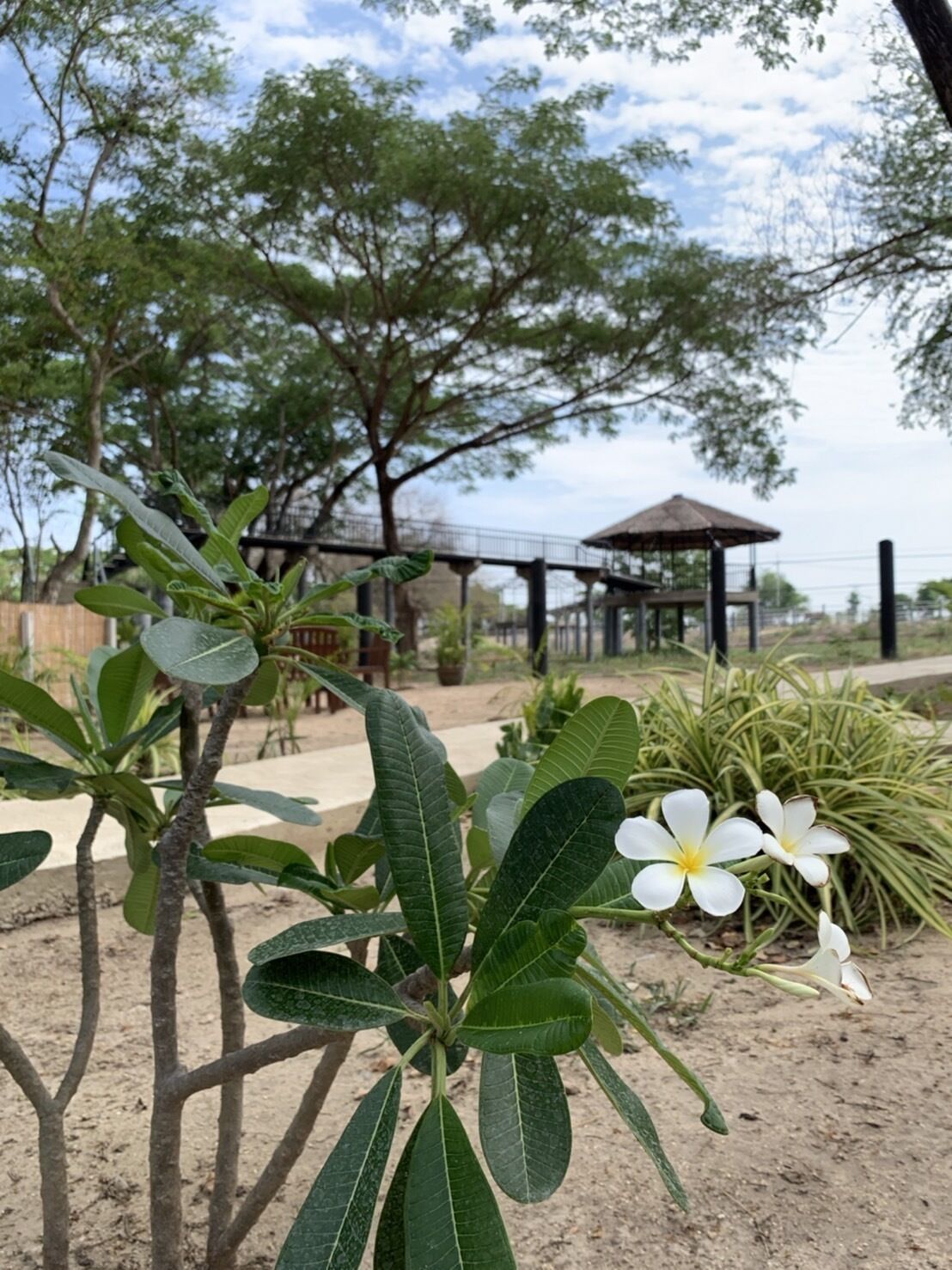 Elephant View Camp