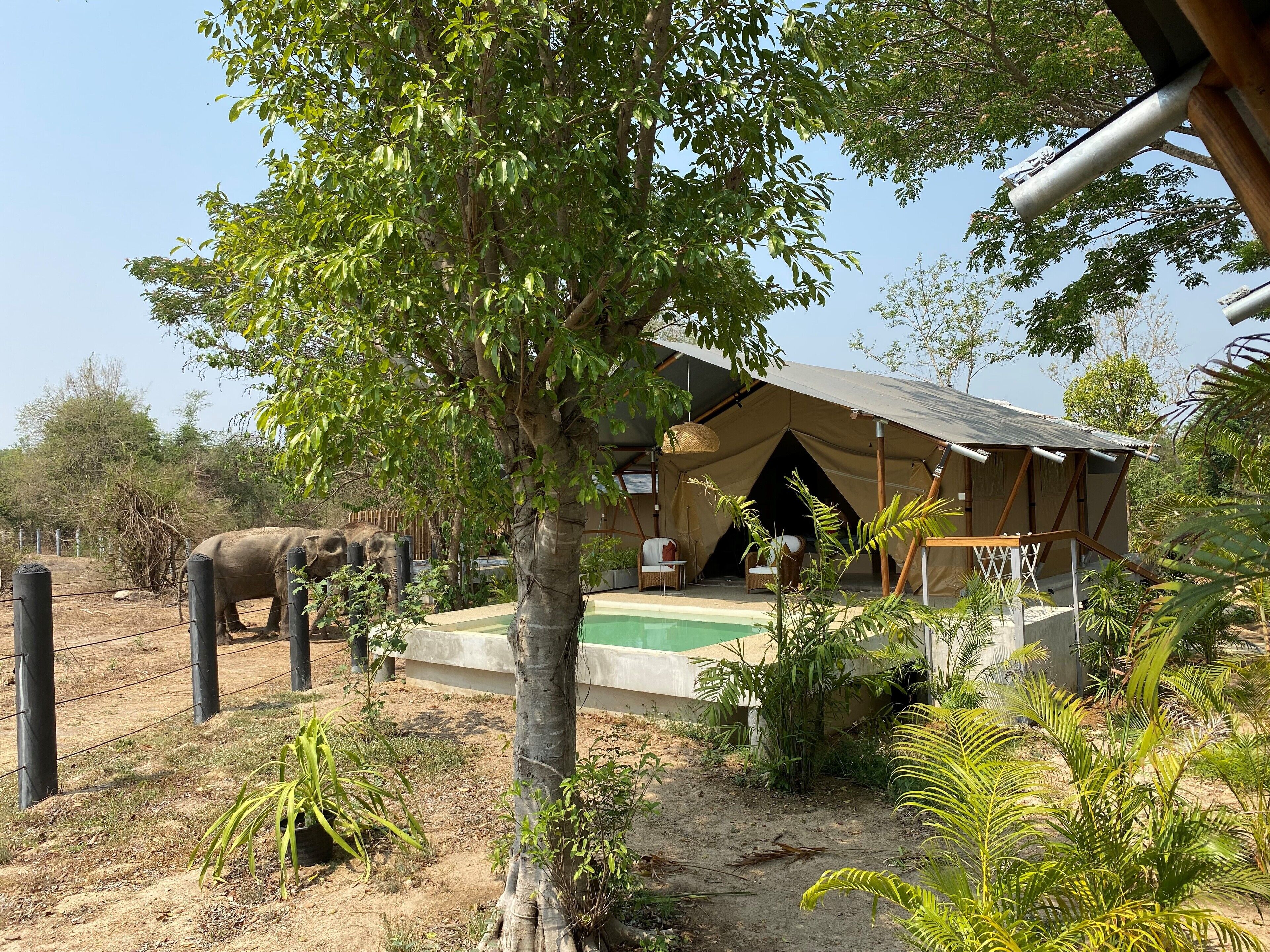 Elephant View Camp