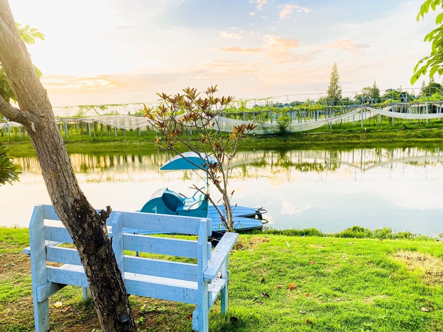 The Memory Luxury Resort