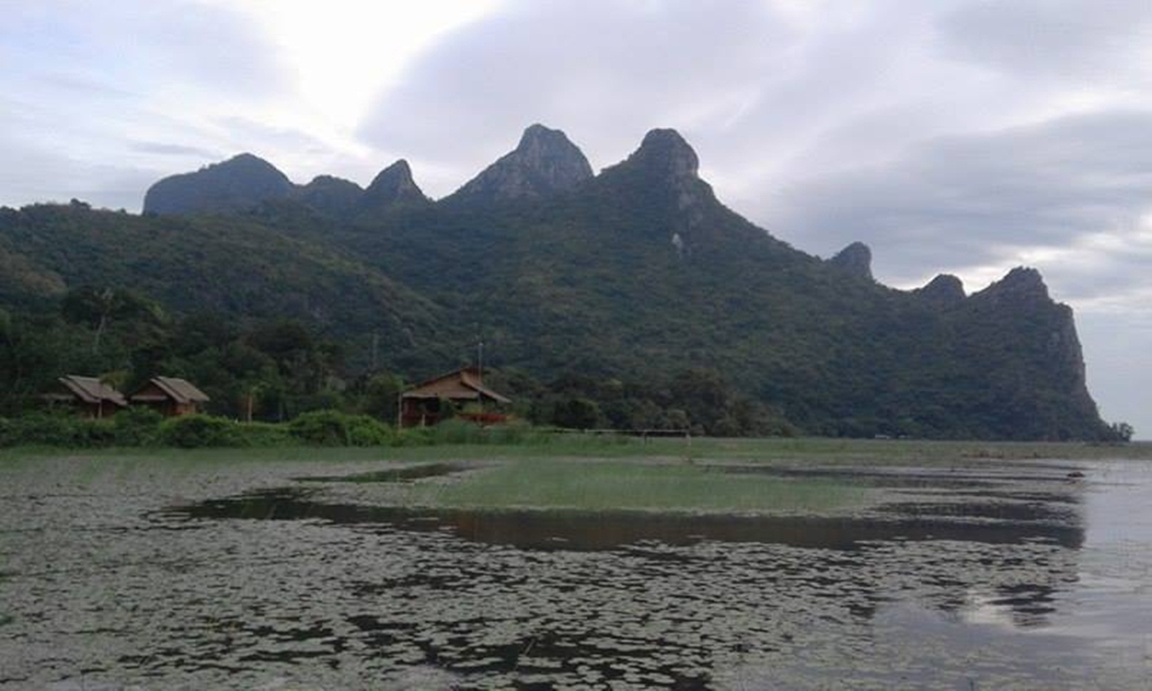 Lungcha Homestay