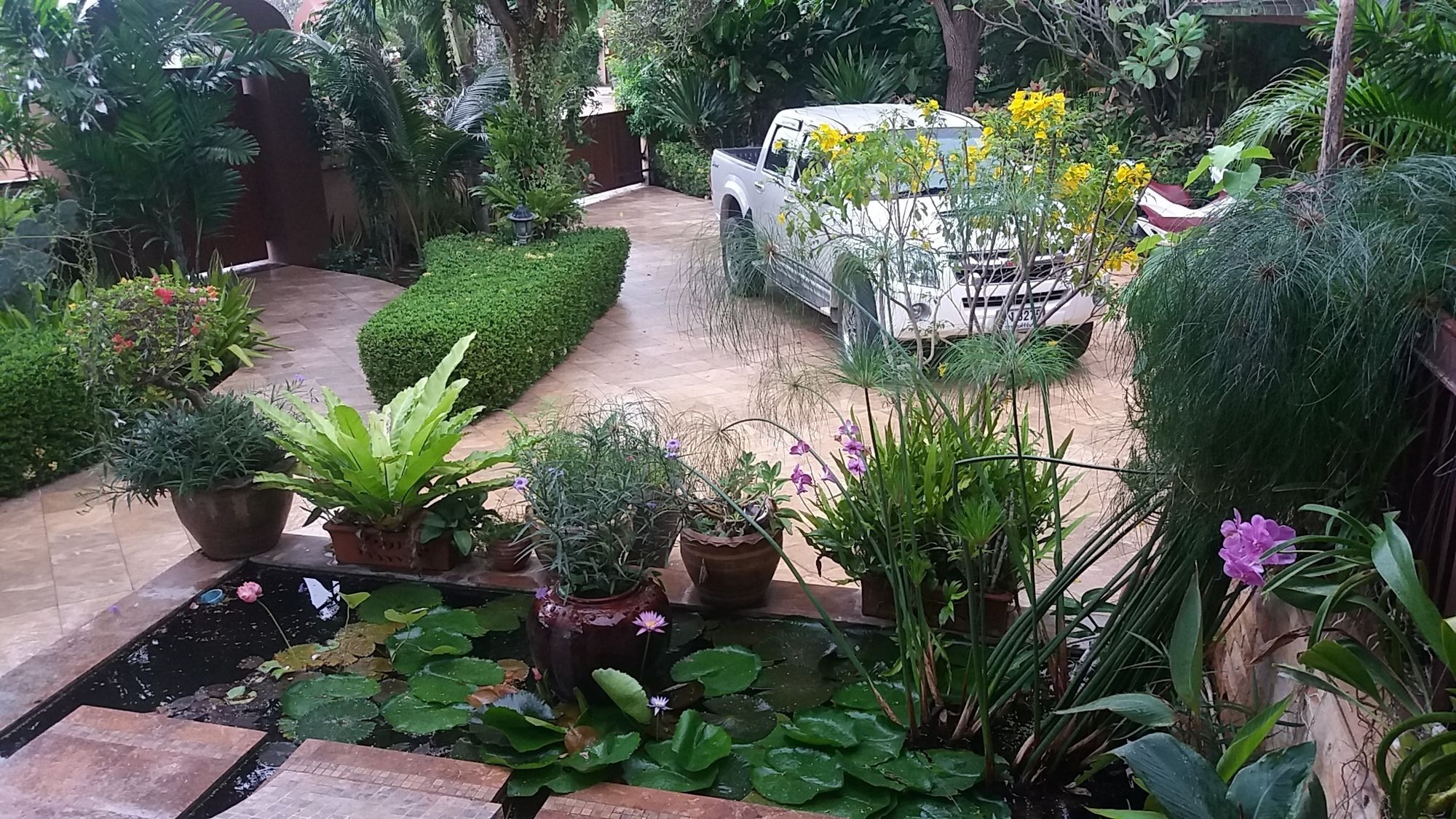 Malee Garden