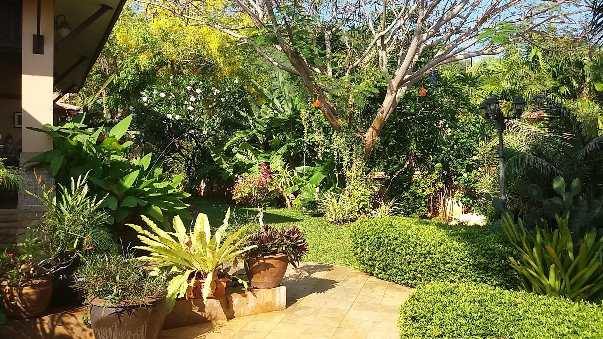 Malee Garden