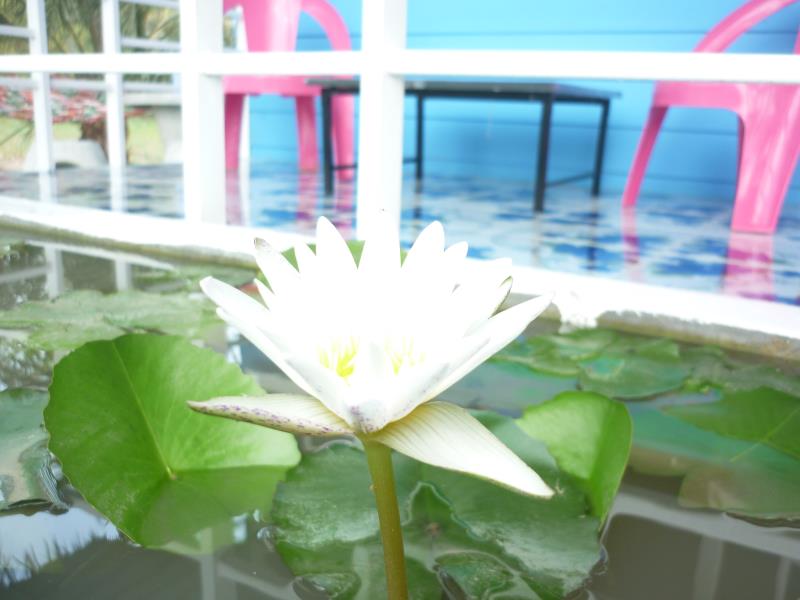 Maneemudjalin Resorts Farm Stay