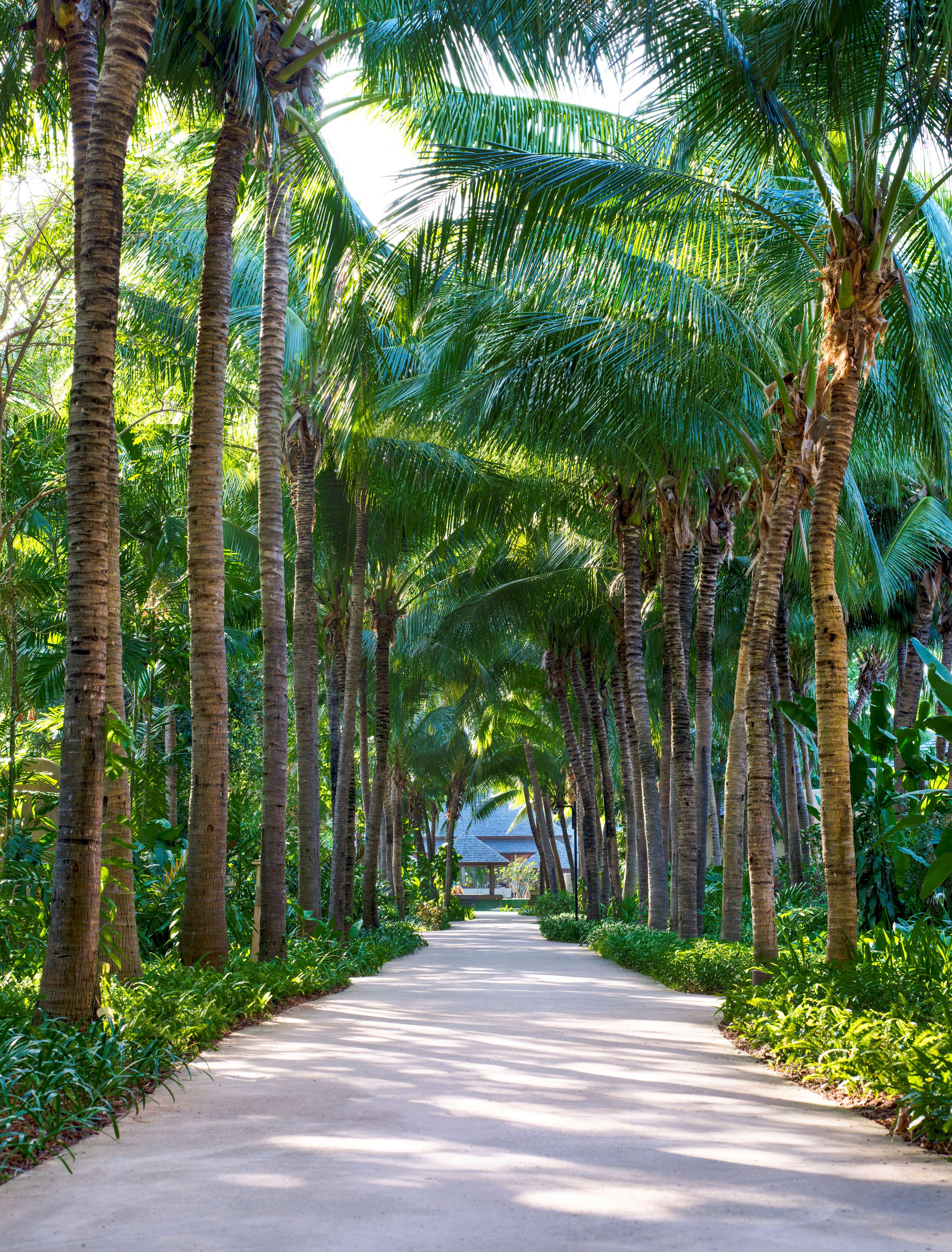 Sheraton Hua Hin Pranburi Villas