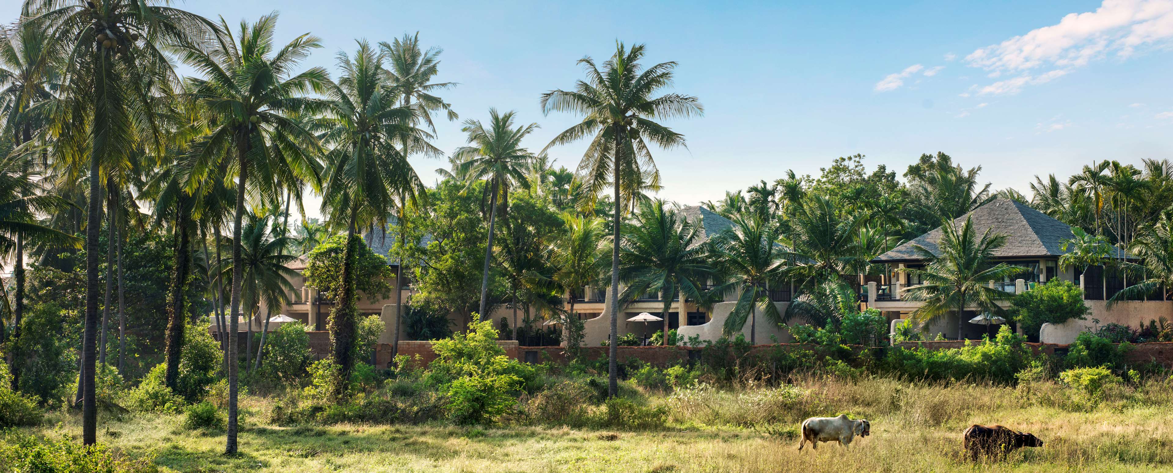 Sheraton Hua Hin Pranburi Villas