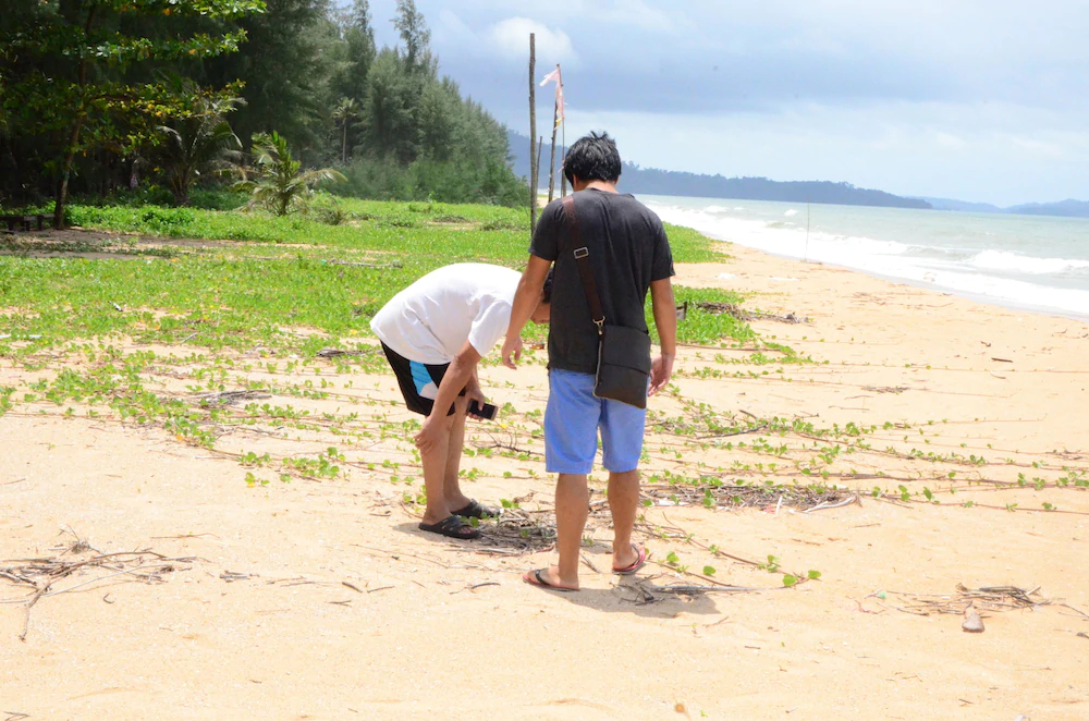 Khaolak Suthawan Resort