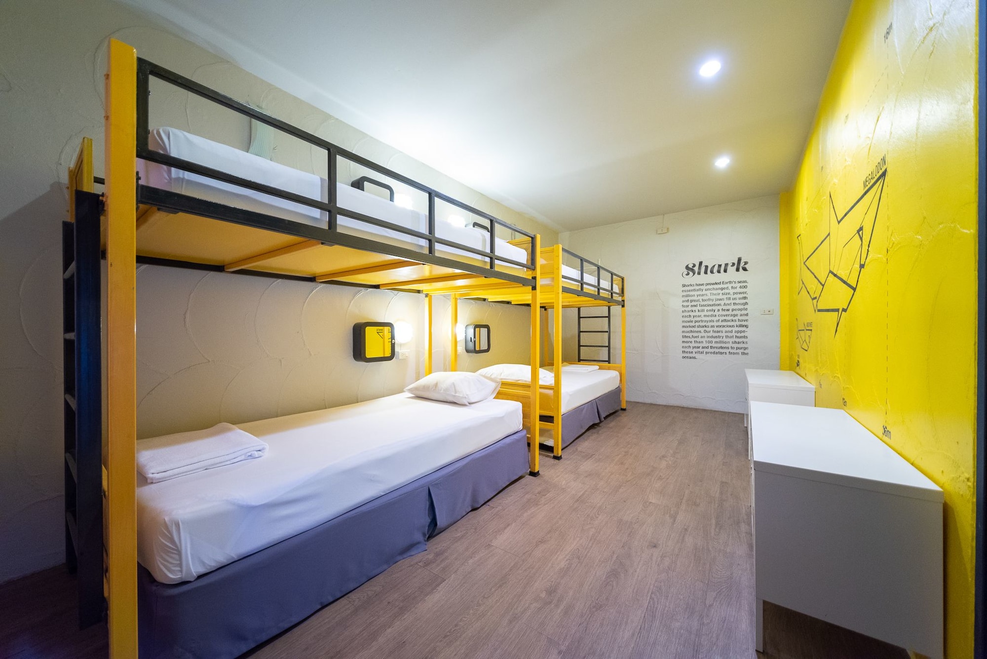 Monkey Dive Hostel Khaolak