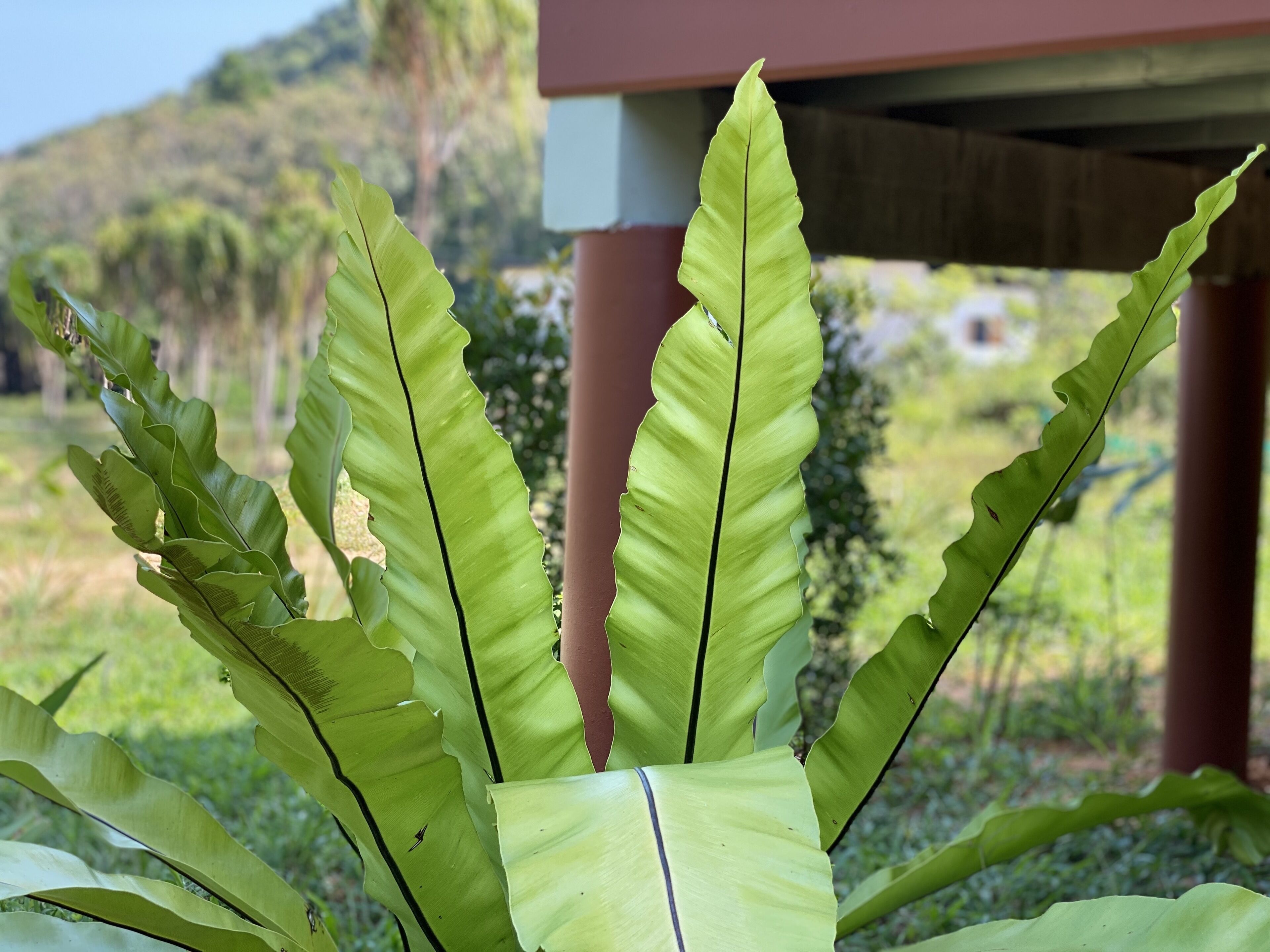 Relaxing House Koh Yao Yai