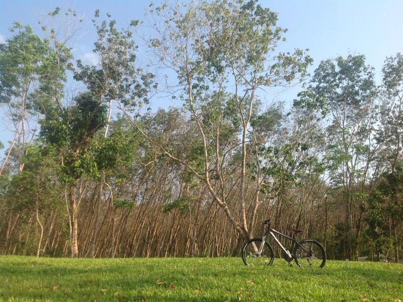 De Chom Villa