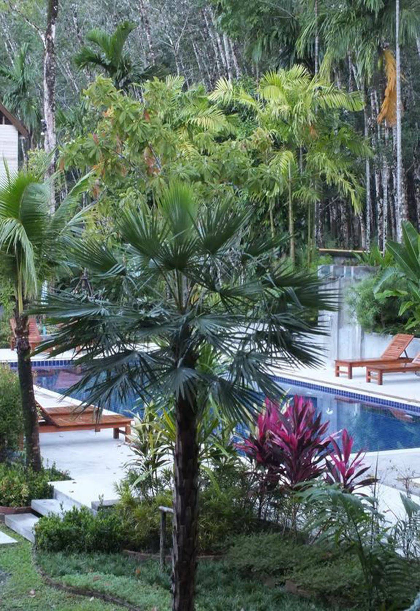 Khaolak Yama Resort