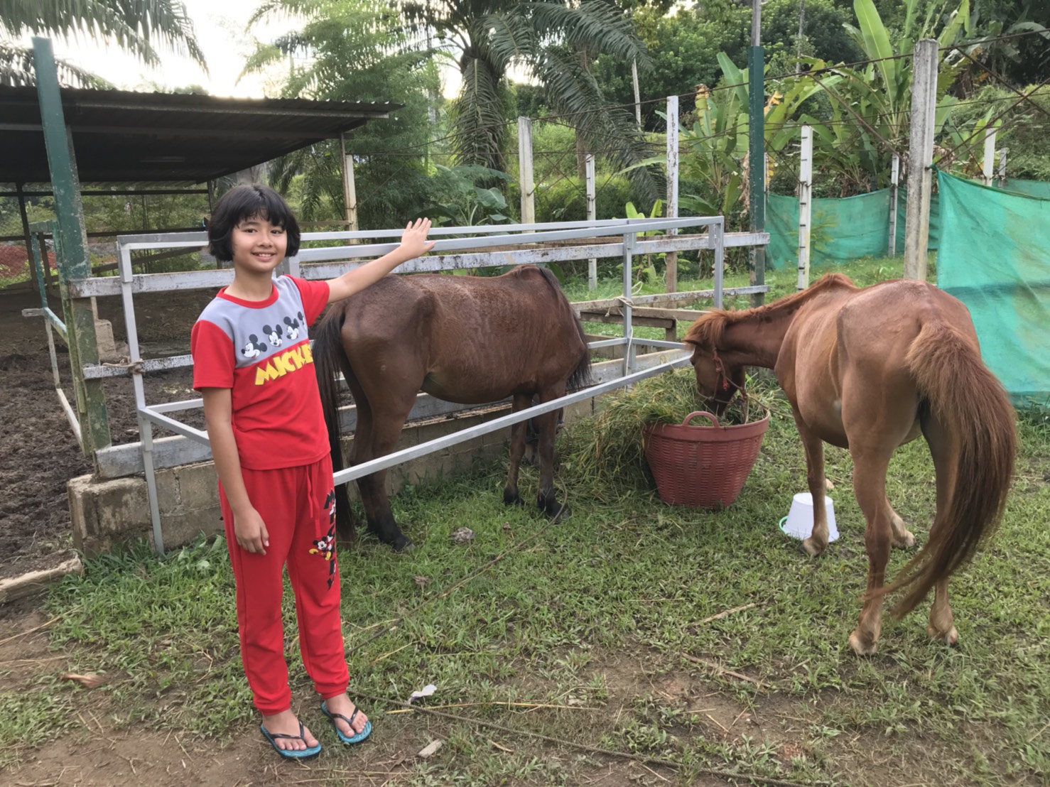 Phang Nga Farmstay