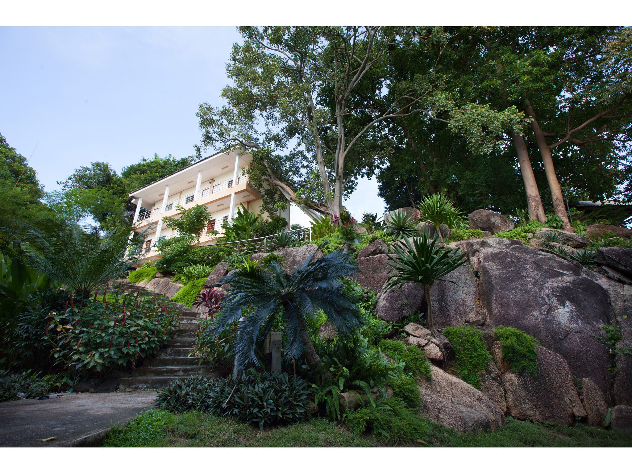 The Green Plaza Hotel