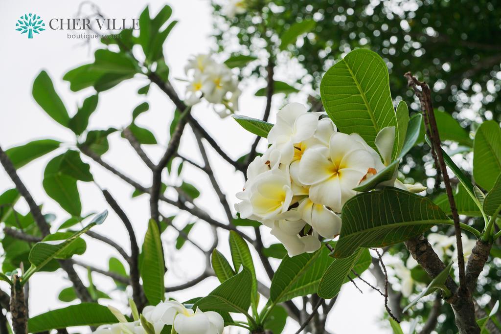 Cher Ville Boutique Resort