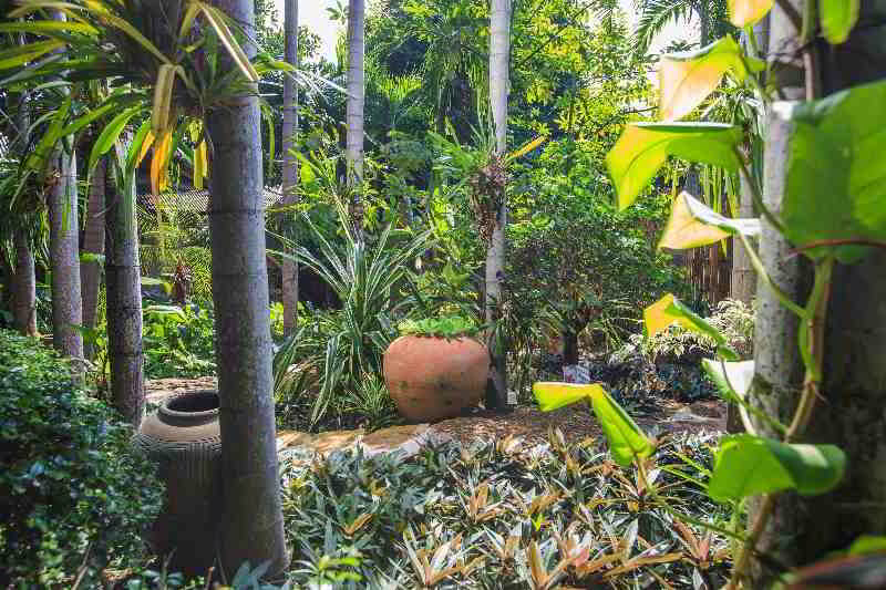 Meewaya Hotel