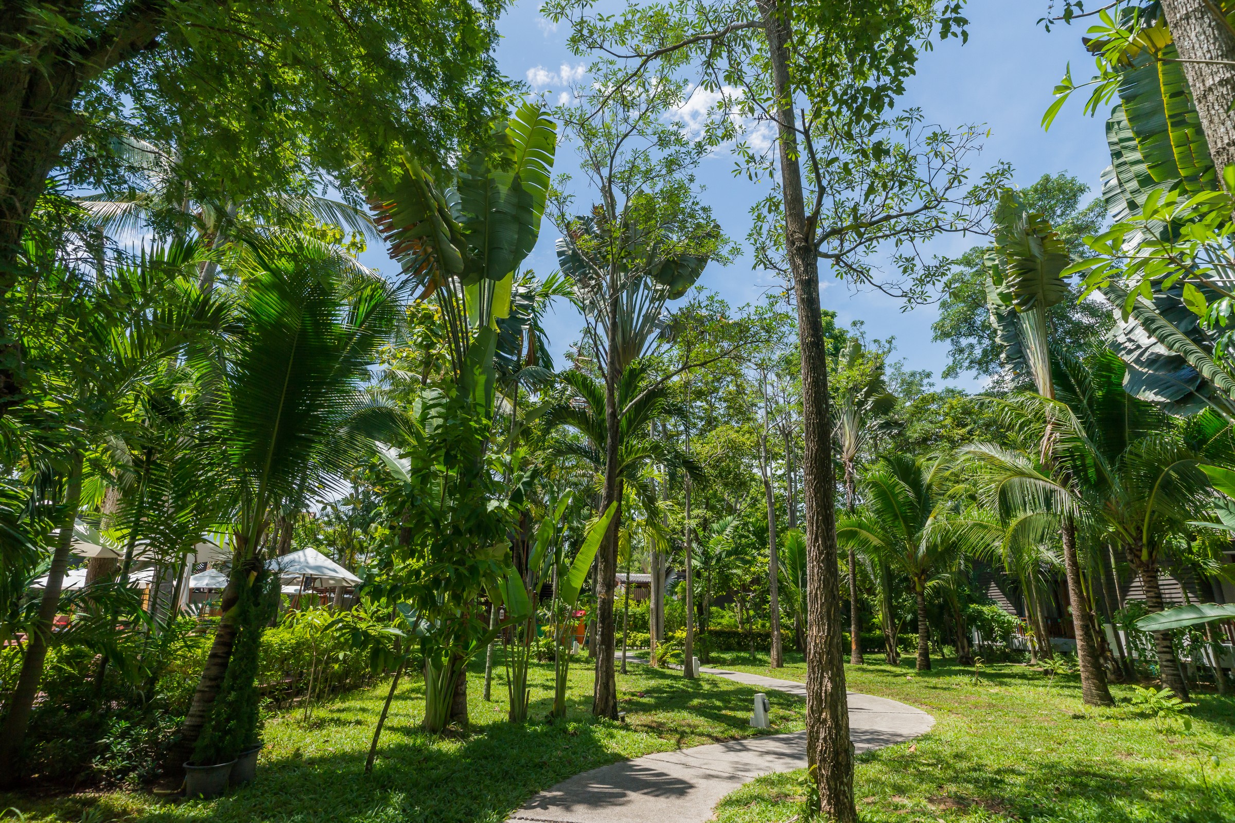 NH Collection Samui Peace Resort