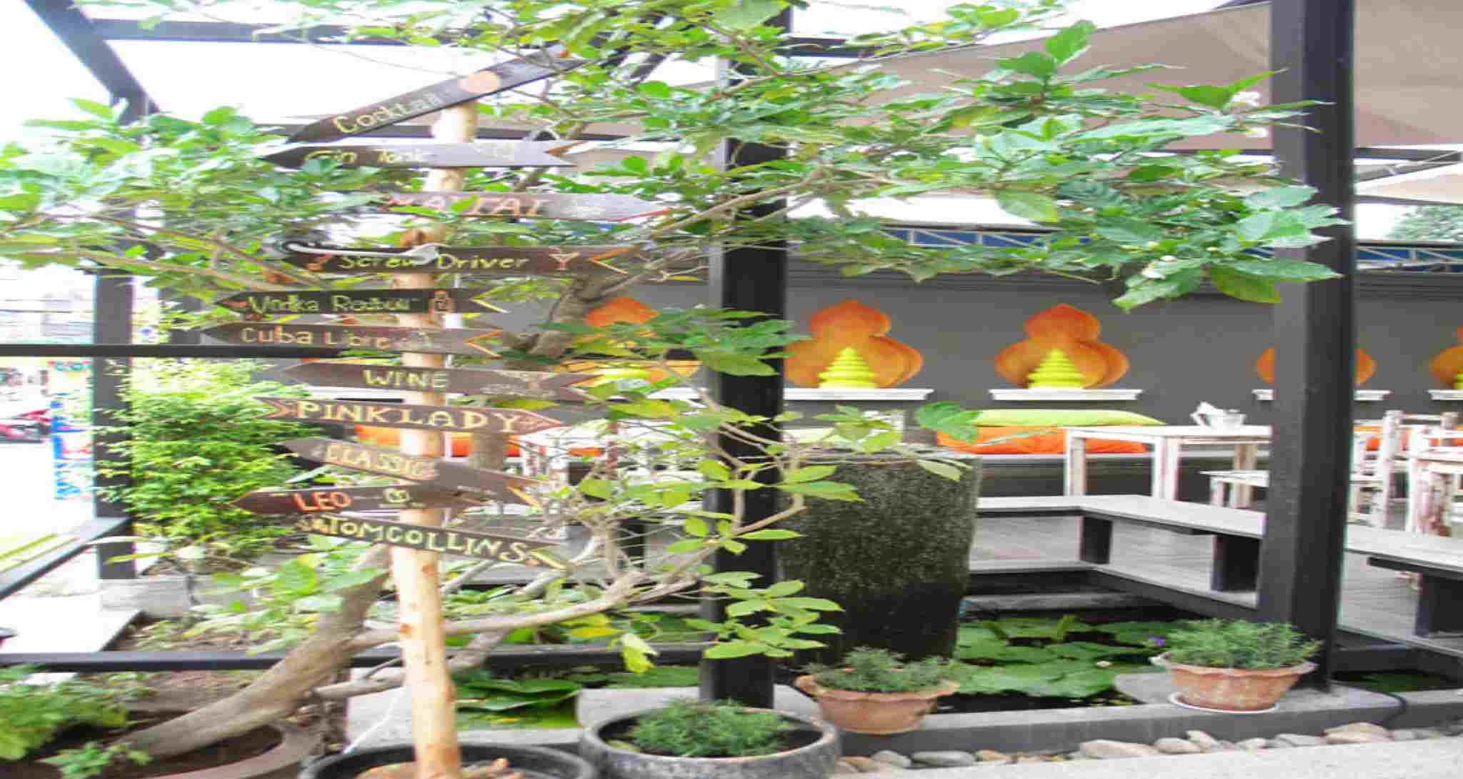 City Dance Hotel