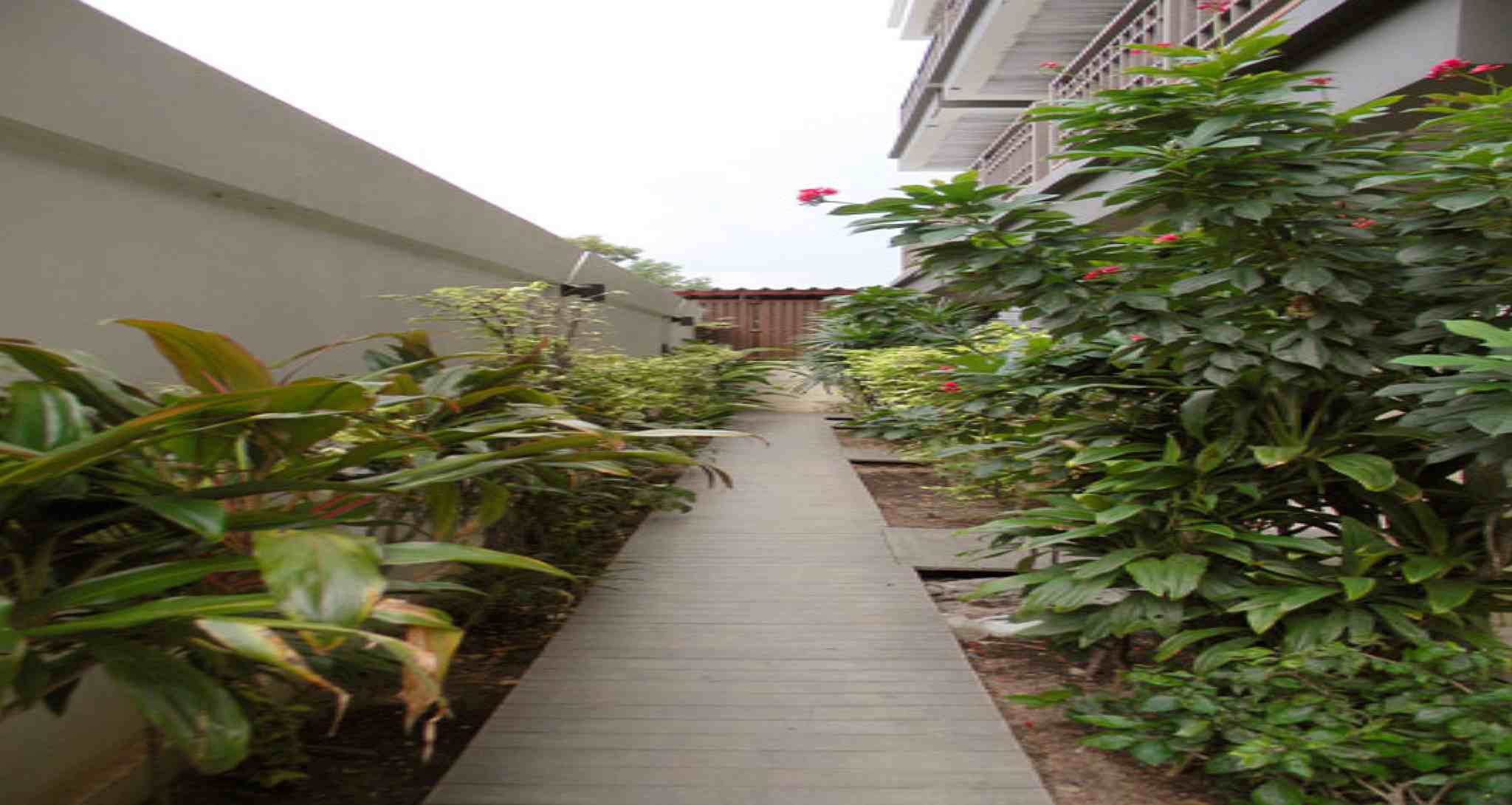 City Dance Hotel