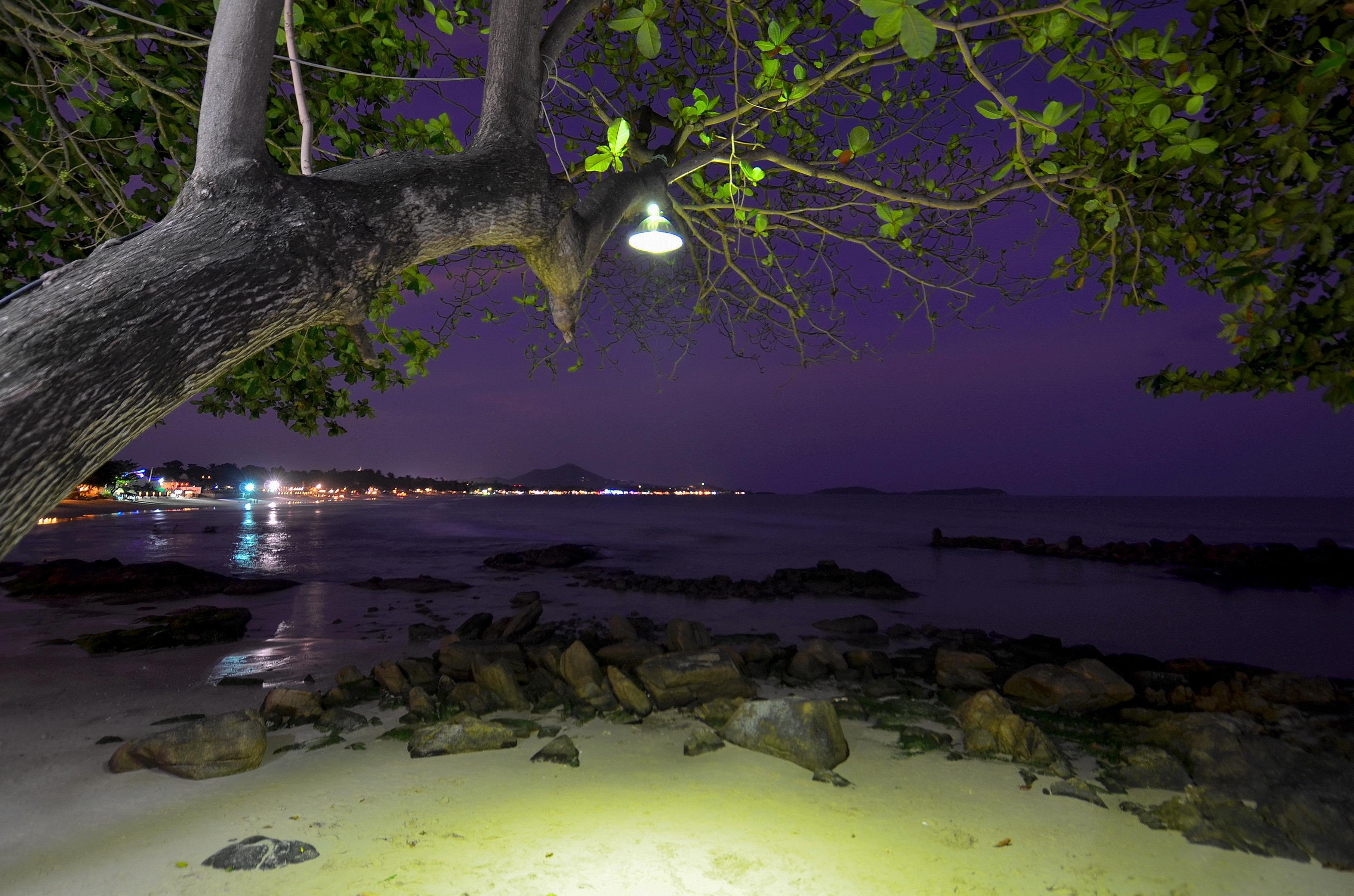 First Bungalow Beach Resort