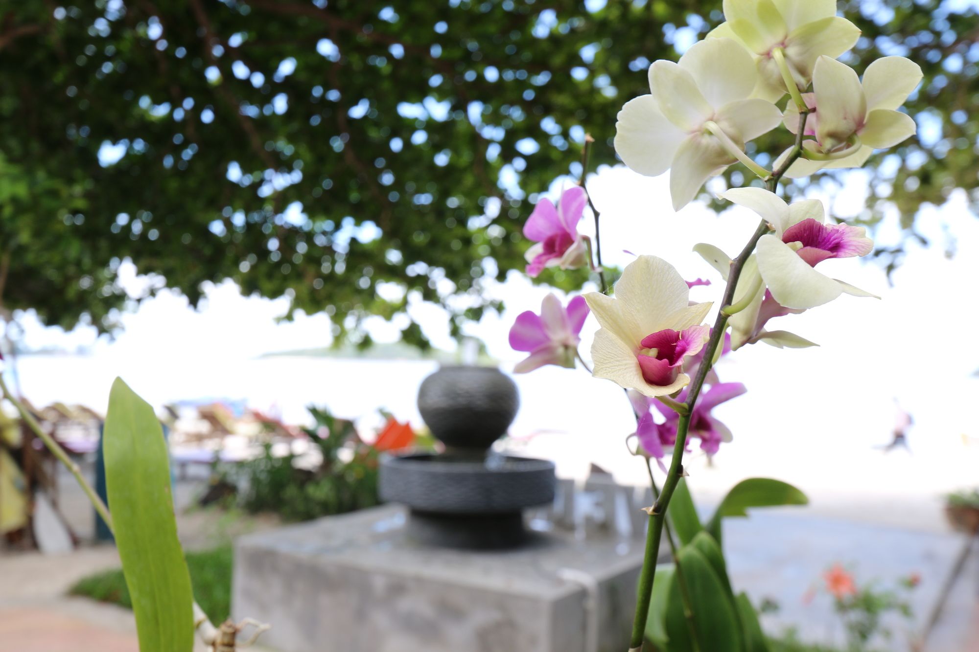 Marine Chaweng Beach Bungalows