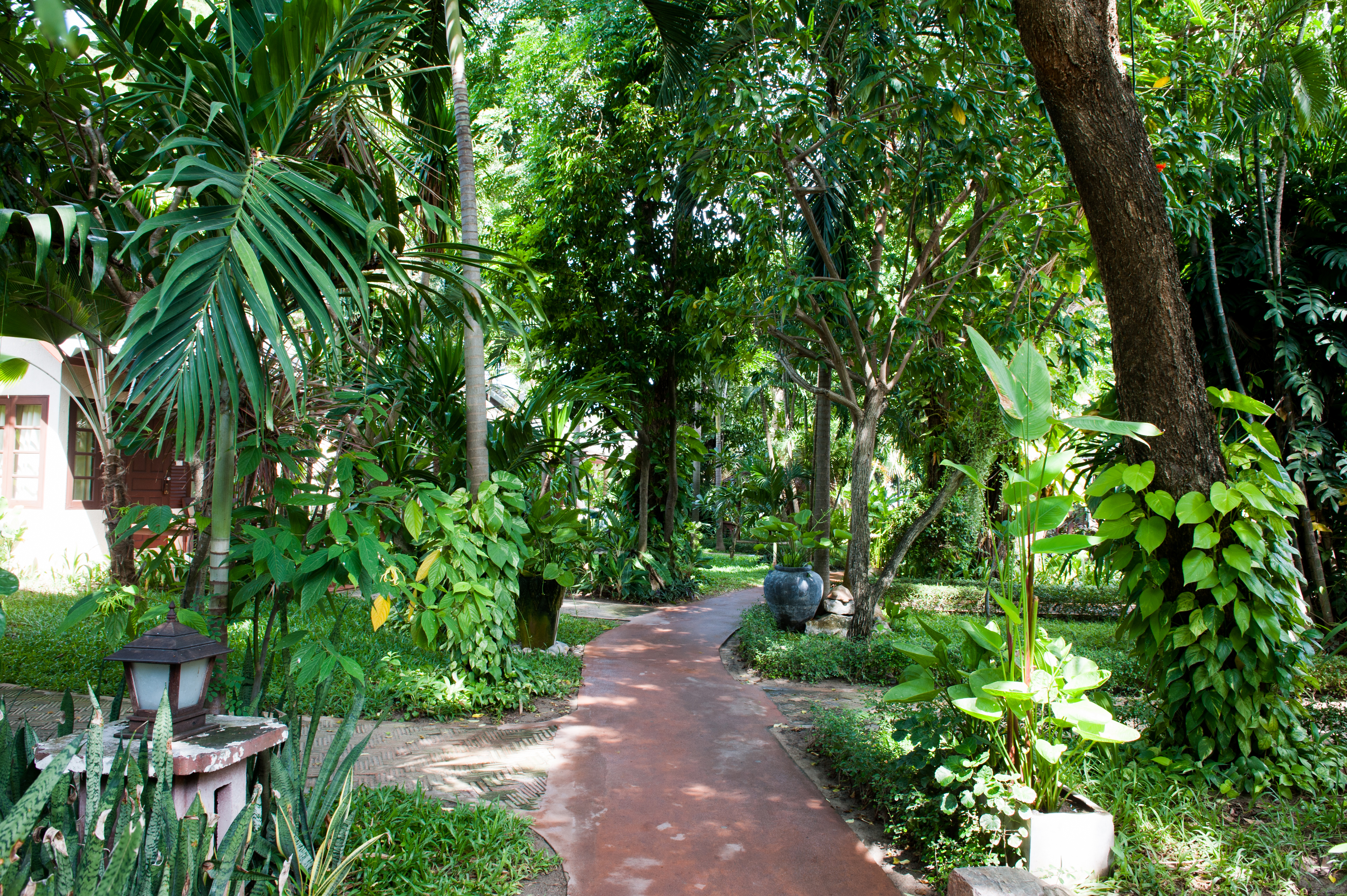 Montien House