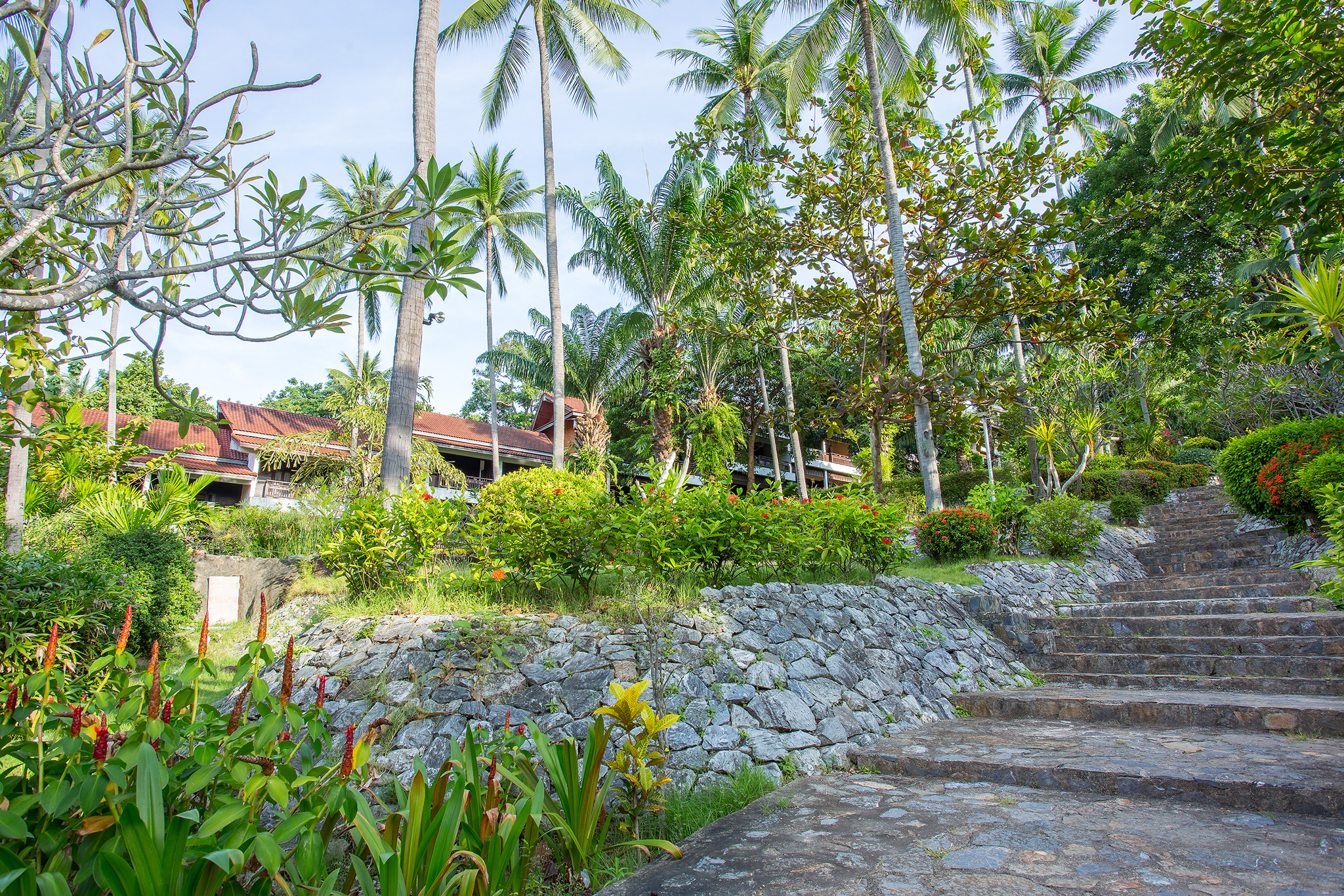 Nova Samui Resort