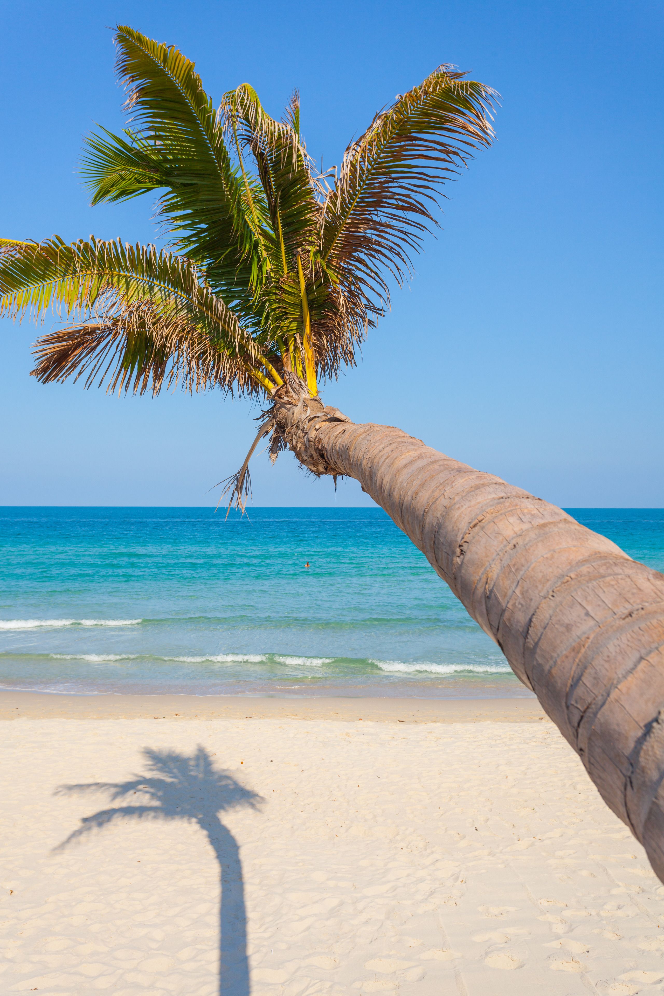 The Samui Beach Resort