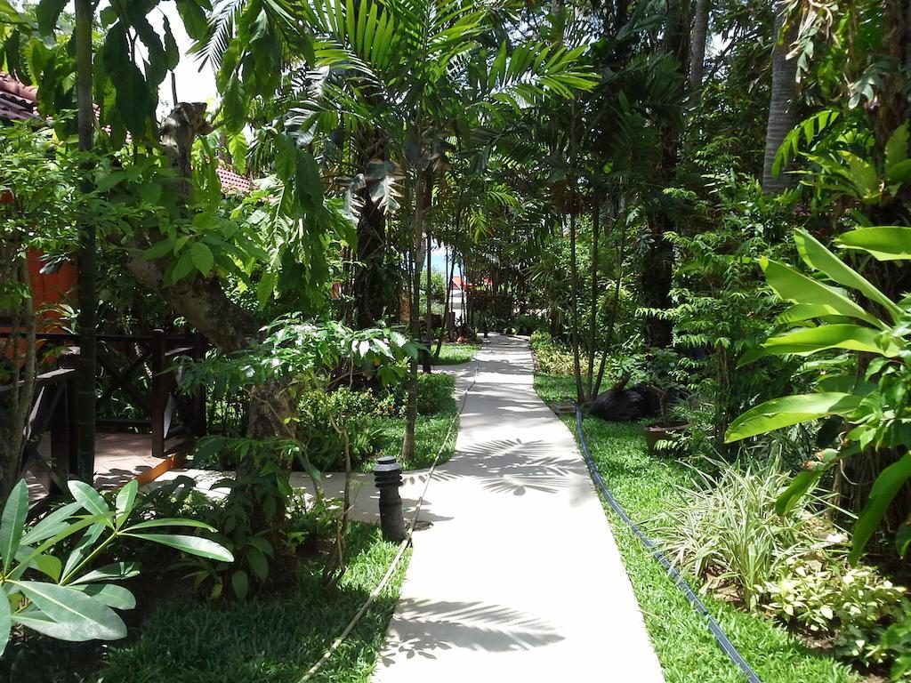 Tradewinds by Lawana