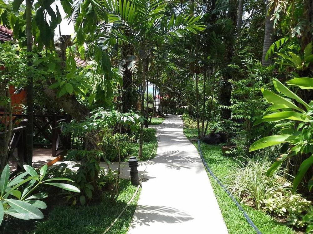 Tradewinds by Lawana