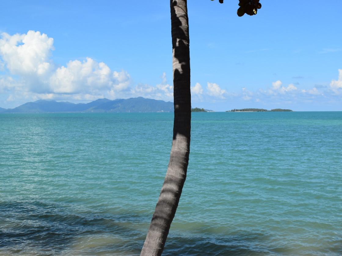2W Beach Hostel Koh Samui