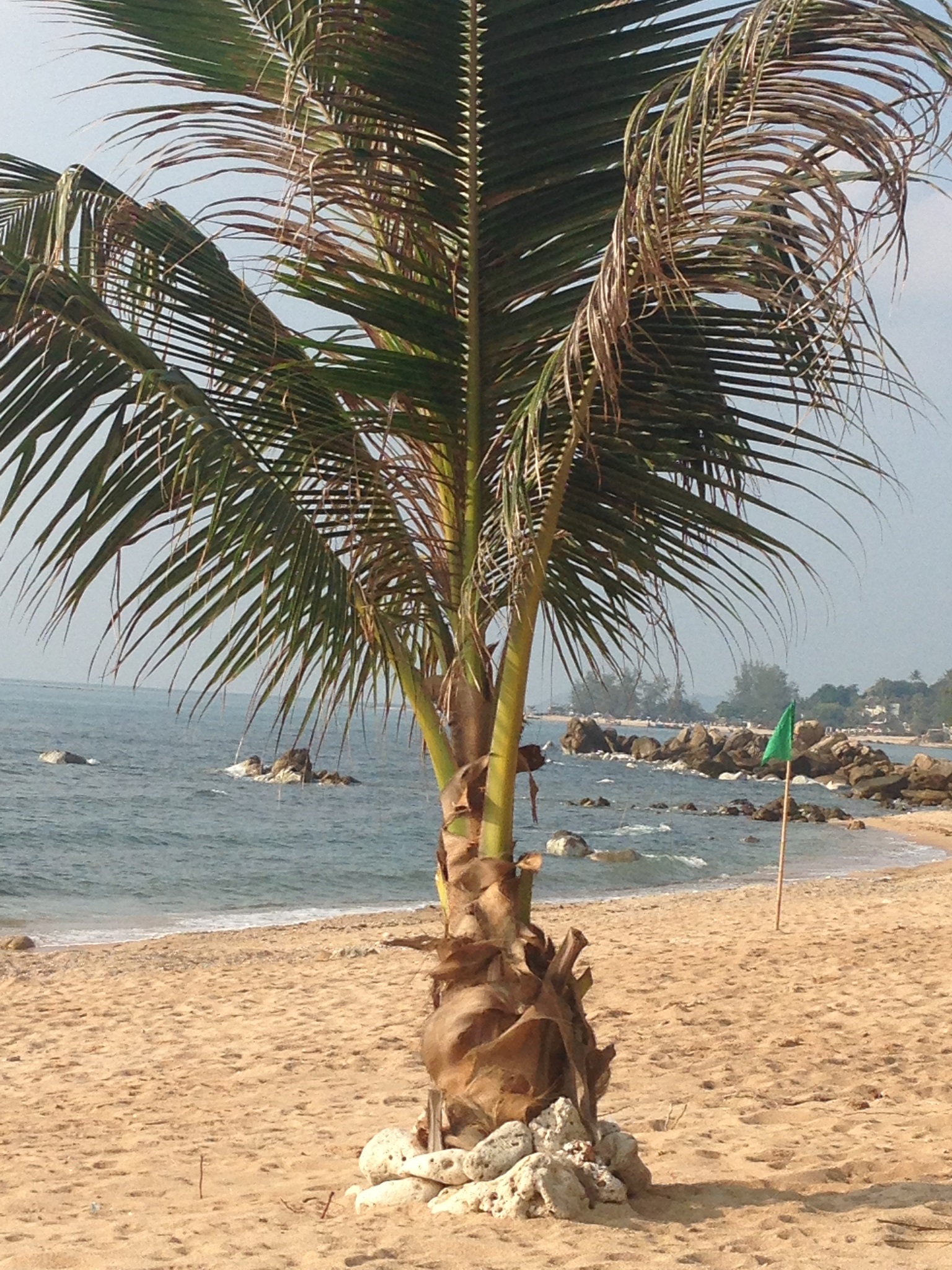 Banyan House Samui Bed and Breakfast