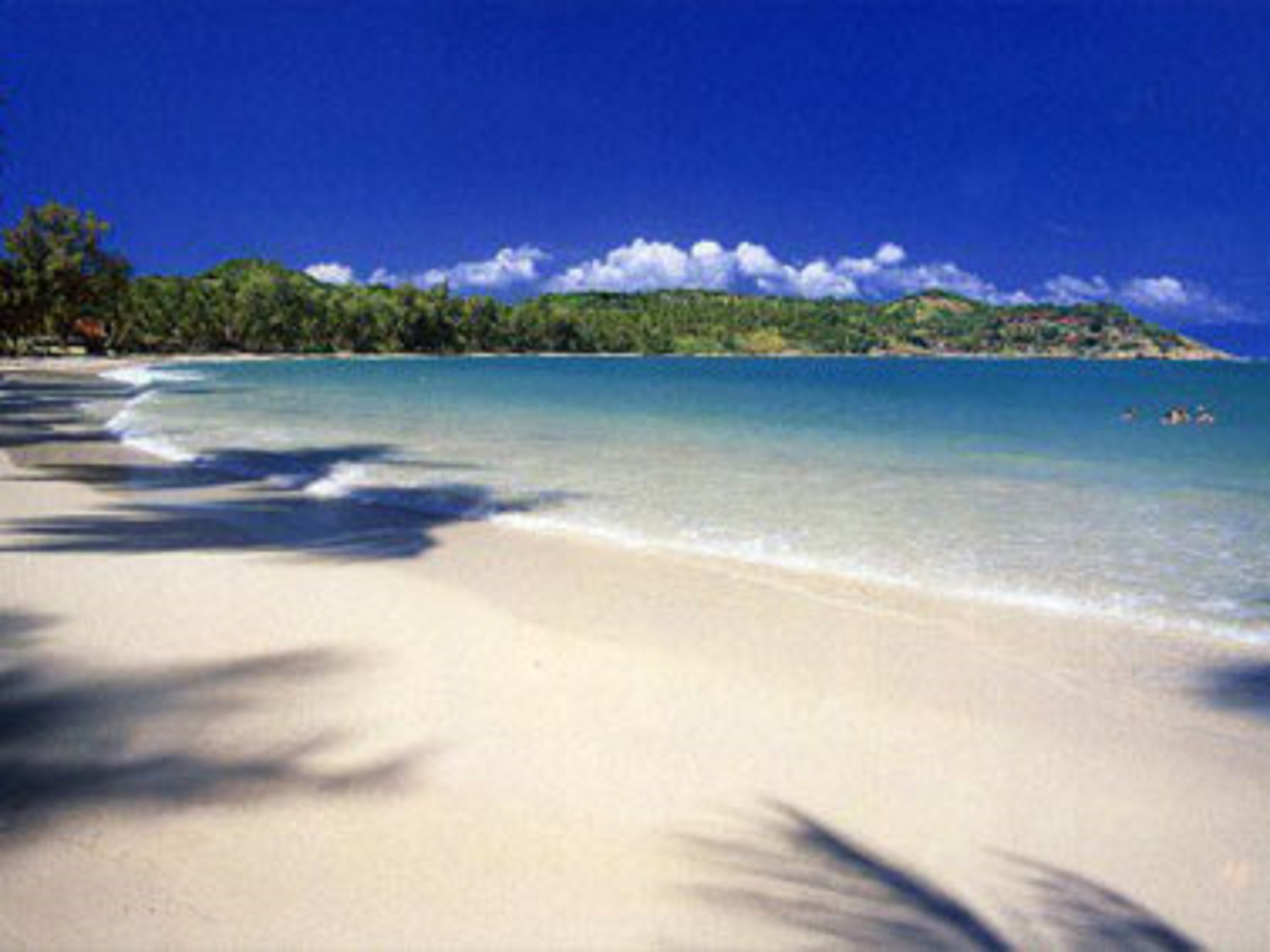 Banyan House Samui Bed and Breakfast