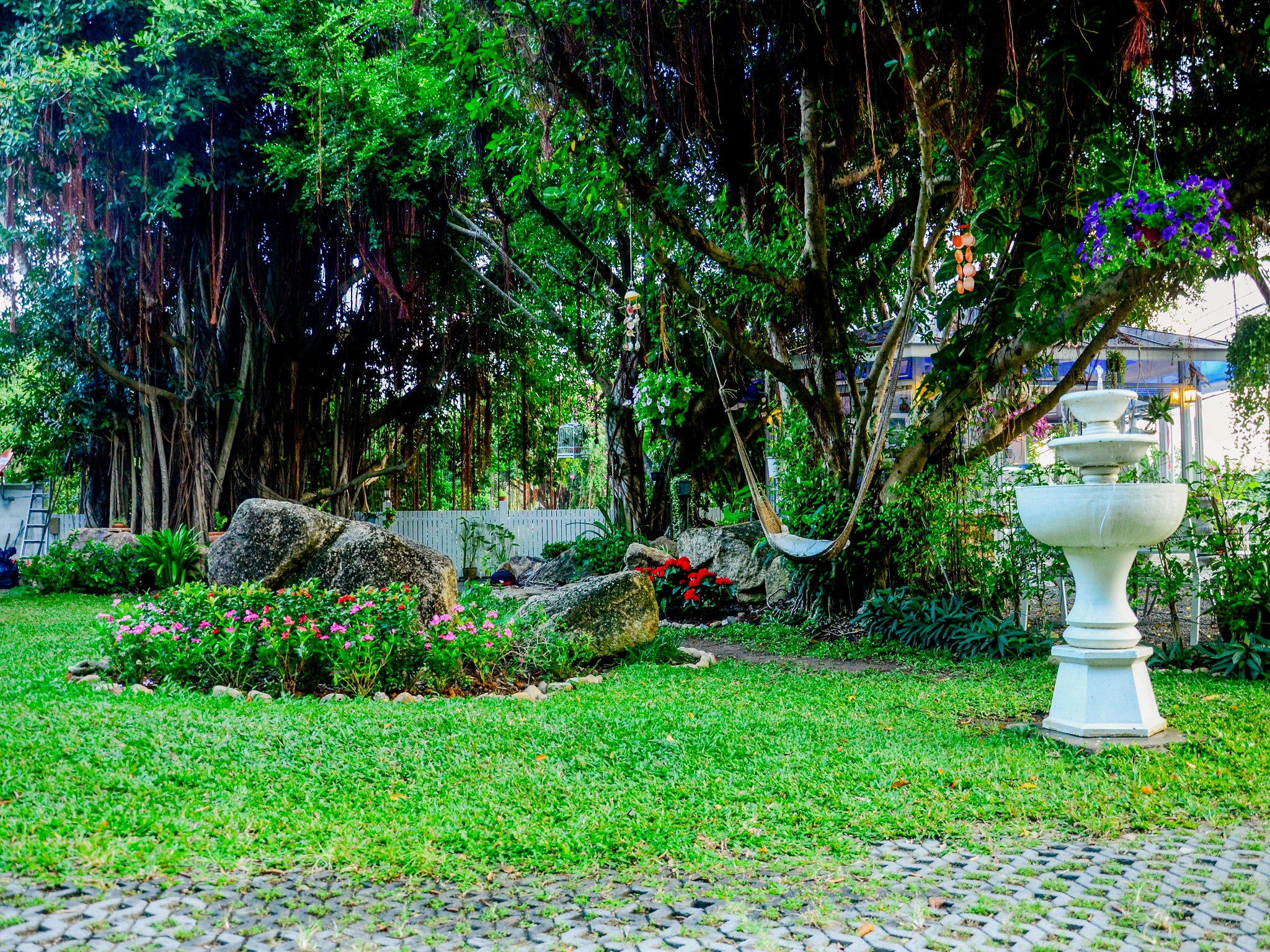 Banyan House Samui Bed and Breakfast