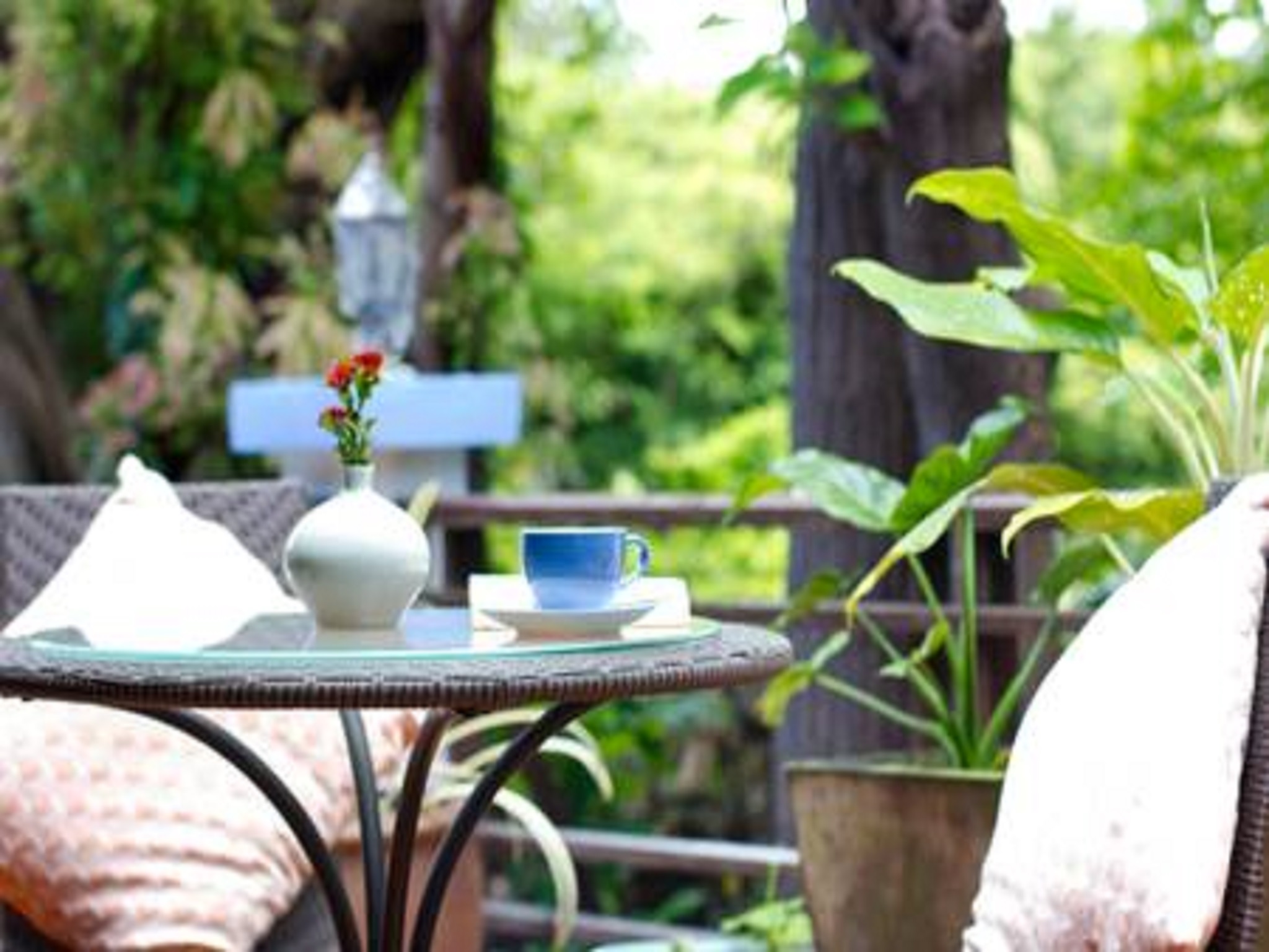 Banyan House Samui Bed and Breakfast