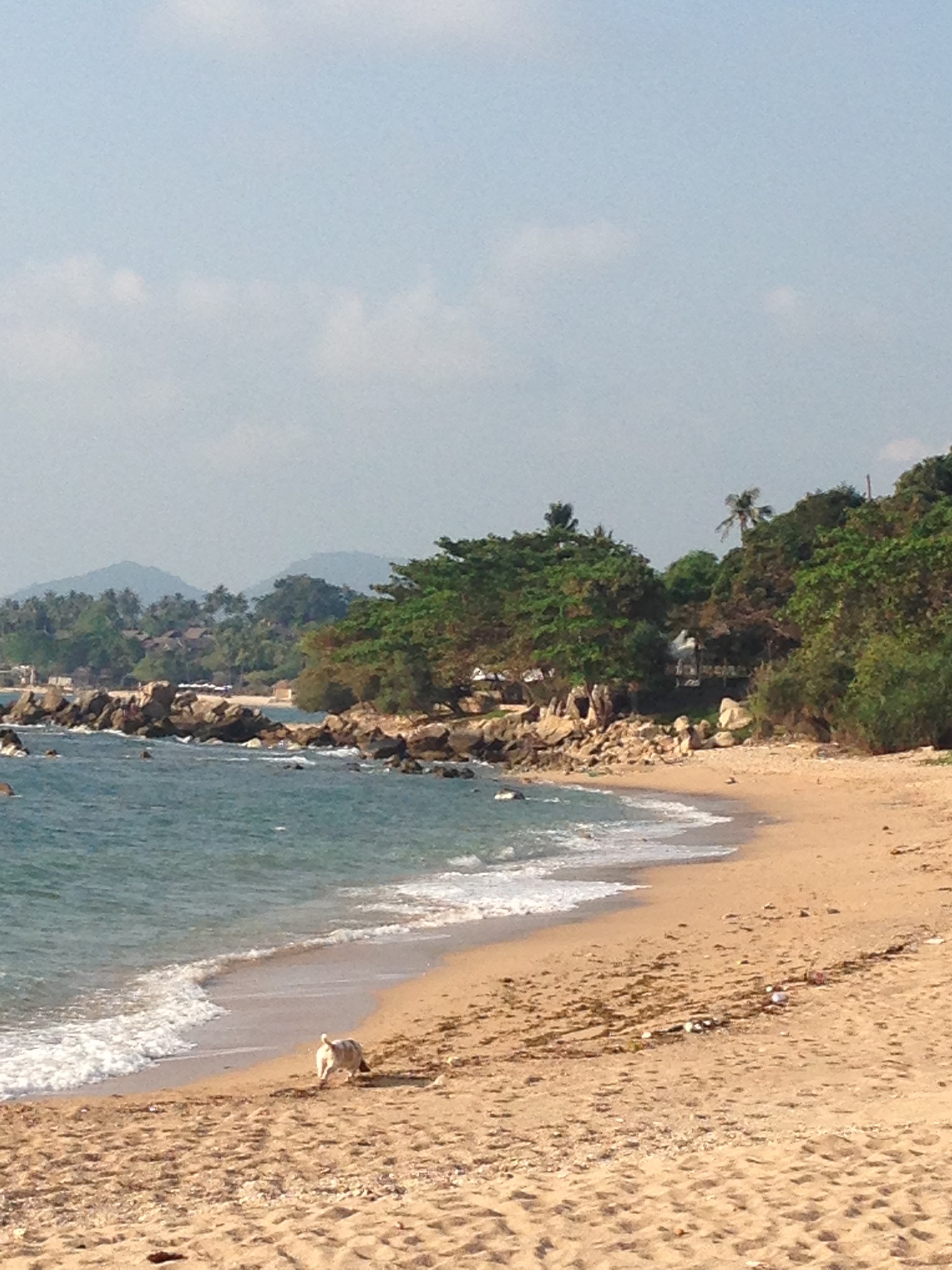 Banyan House Samui Bed and Breakfast