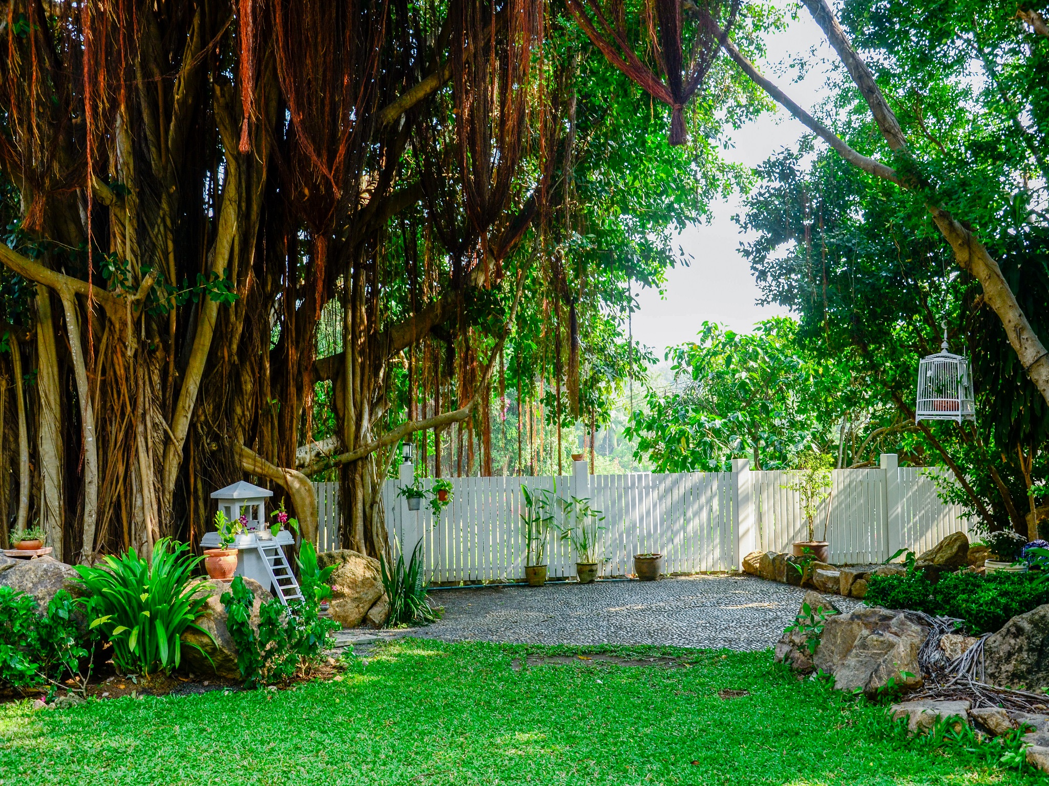 Banyan House Samui Bed and Breakfast