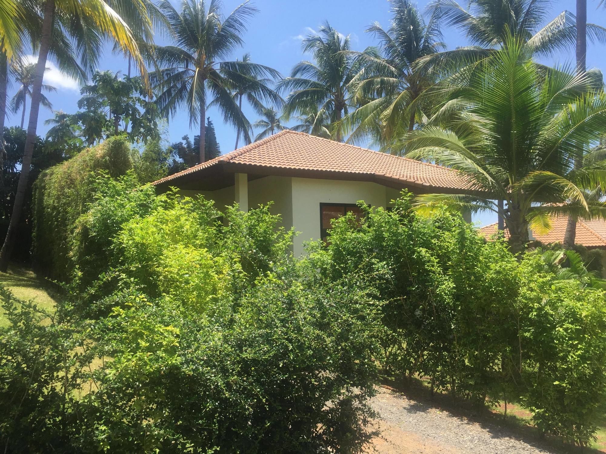 Blue Coconut Residence