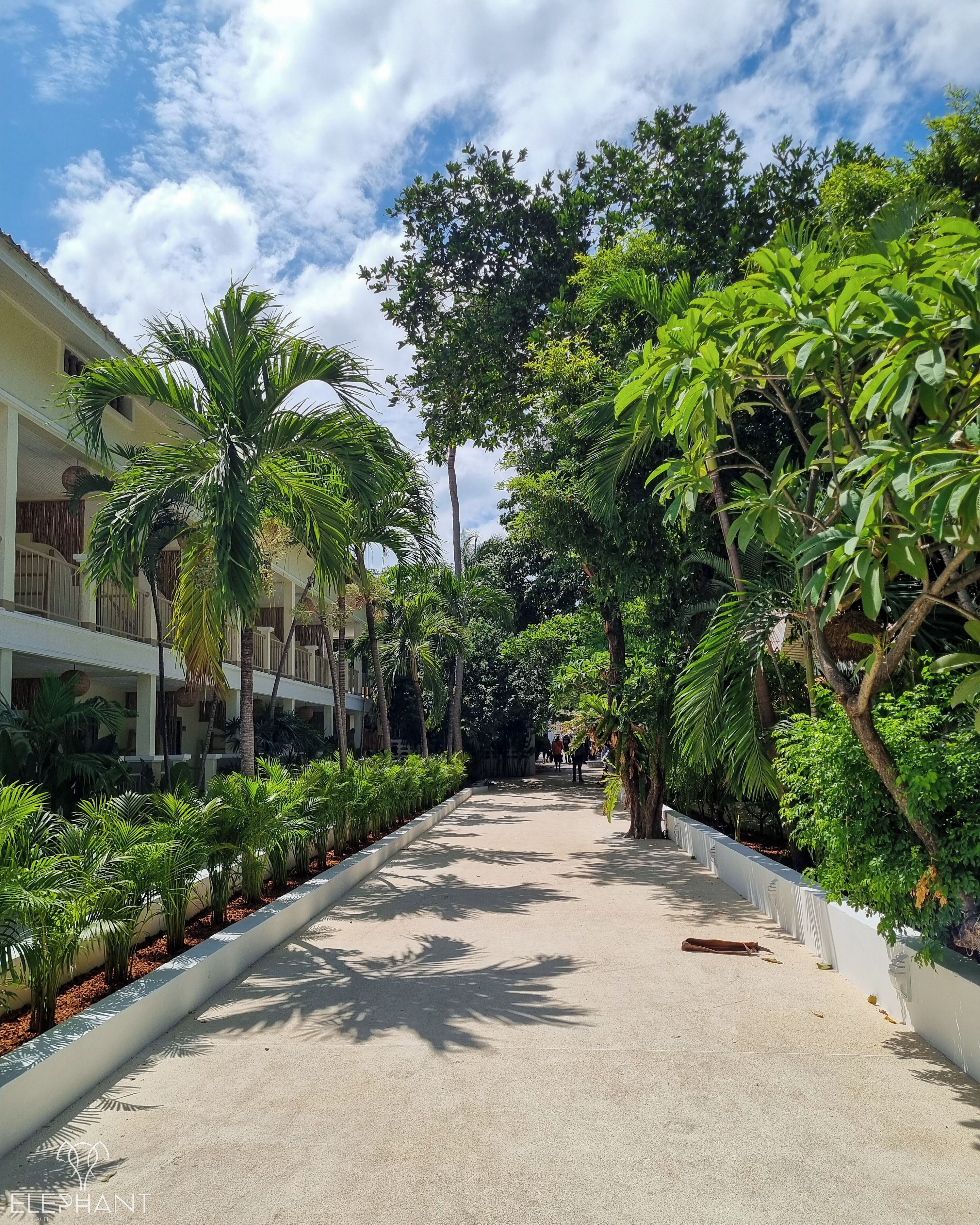 Elephant Beach Resort