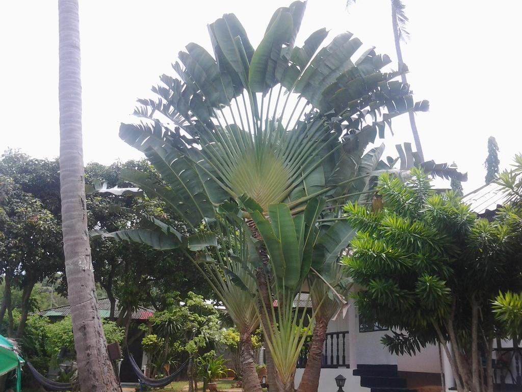 Green Canyon Hip & Cheap Resort