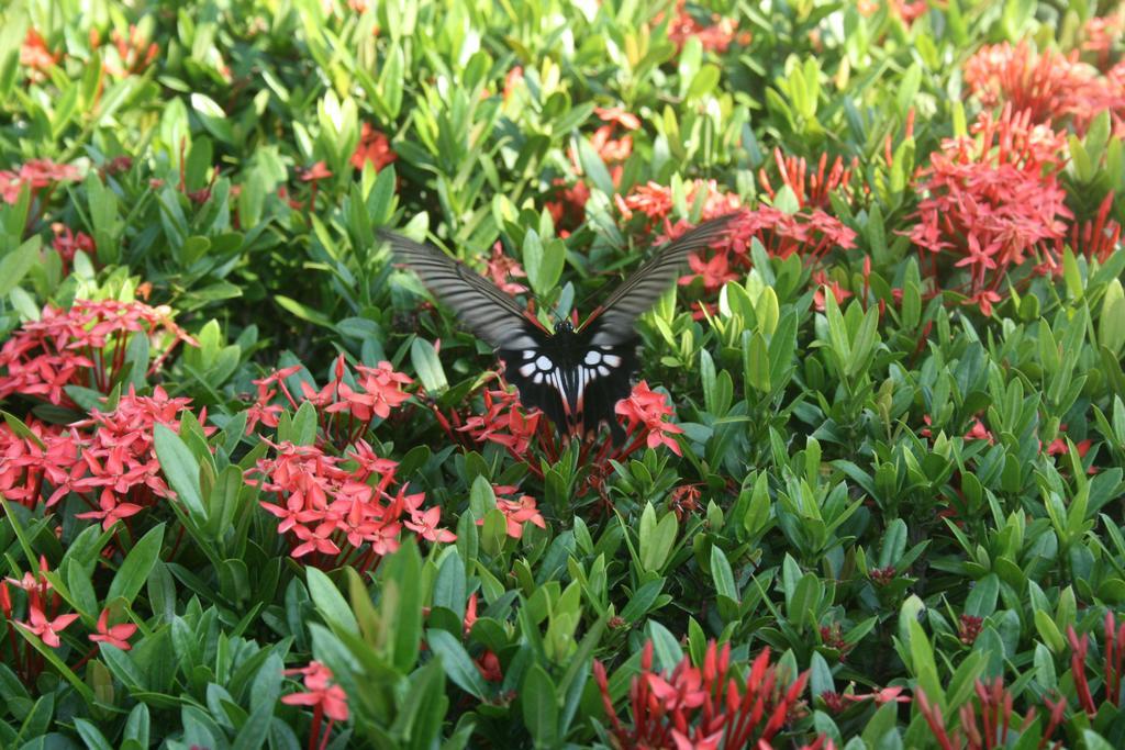 Green Canyon Hip & Cheap Resort