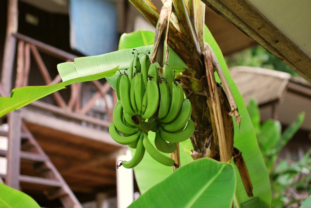 Green Canyon Hip & Cheap Resort