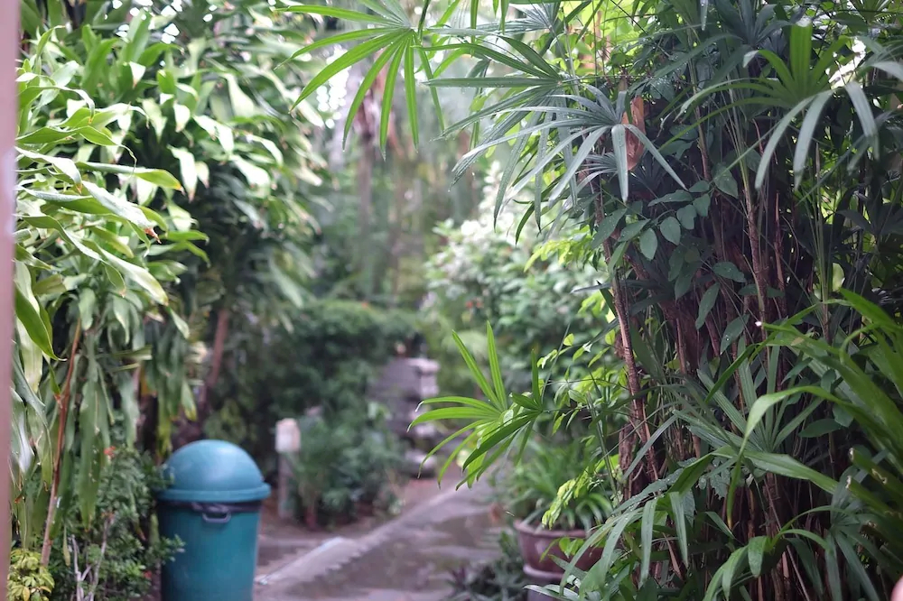 Green Guest House