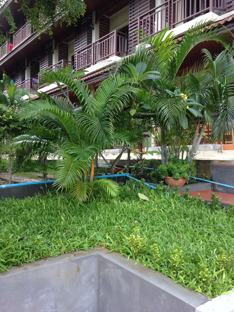 Green Park Boutique Residences